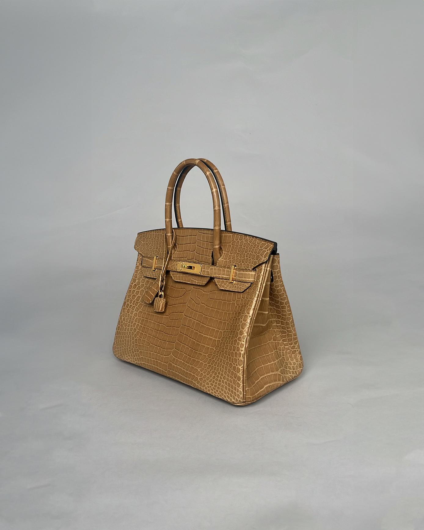 Birkin 30 Kraft
