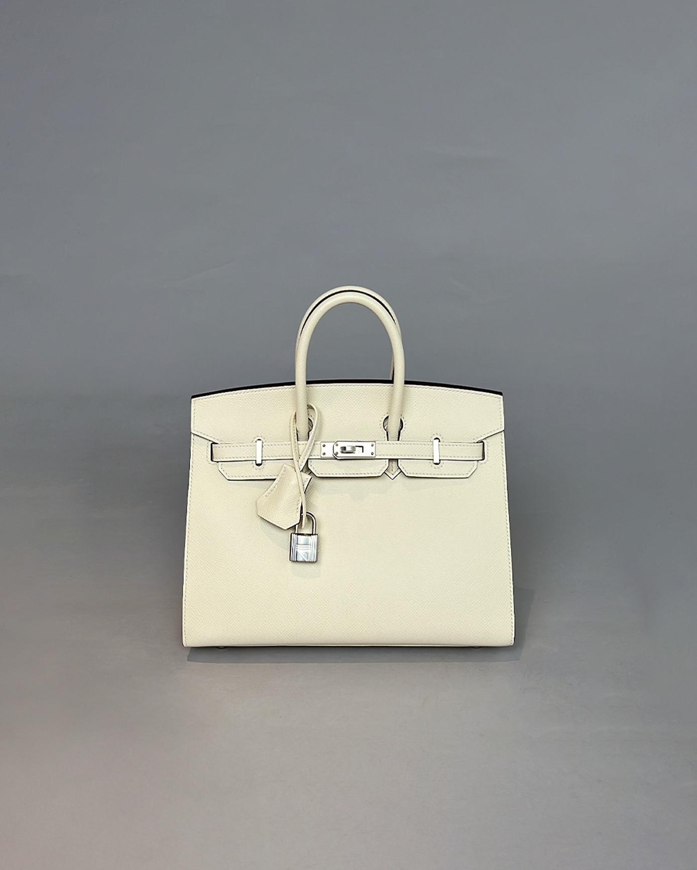 Birkin 25 Nata Sellier