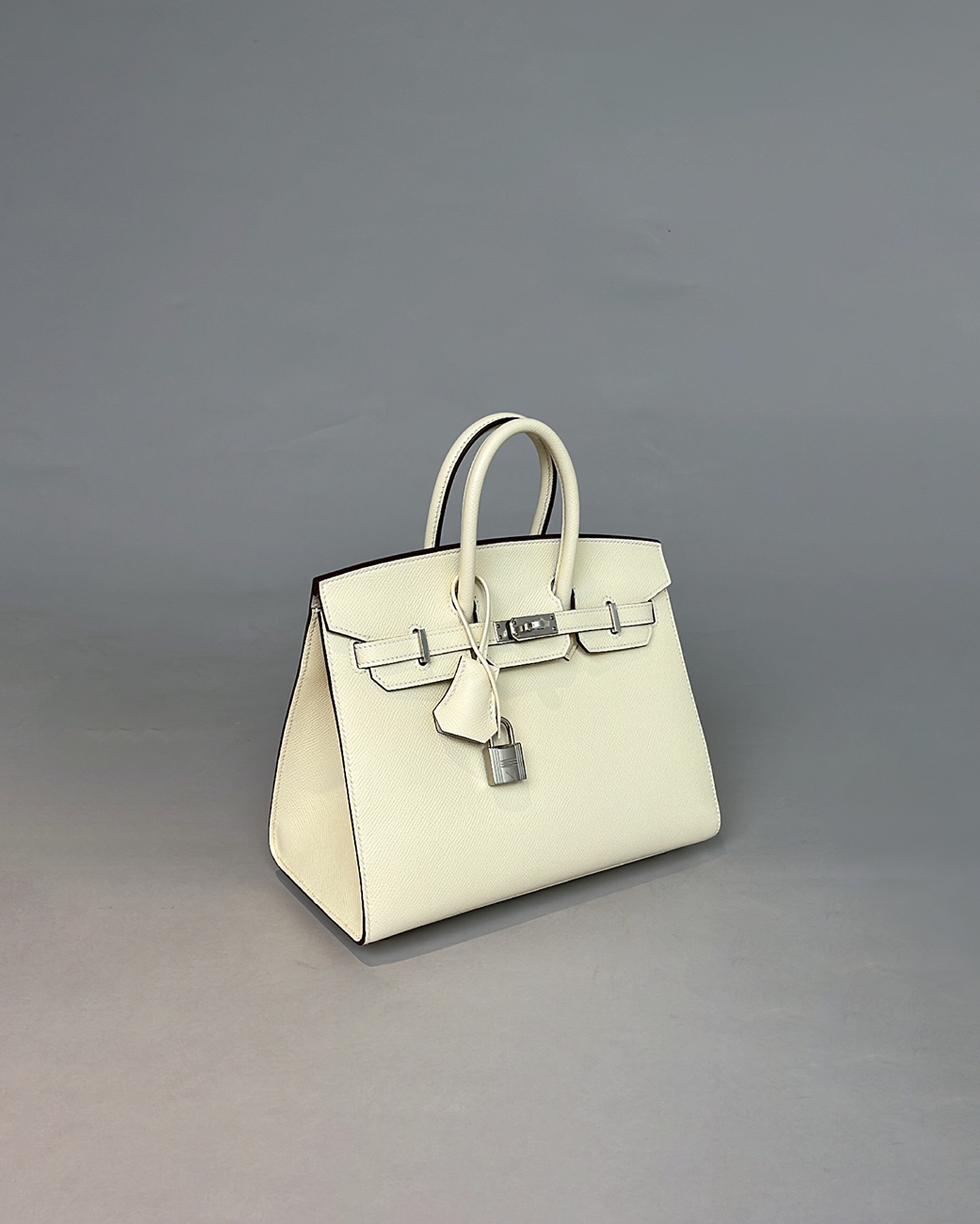 Birkin 25 Nata Sellier