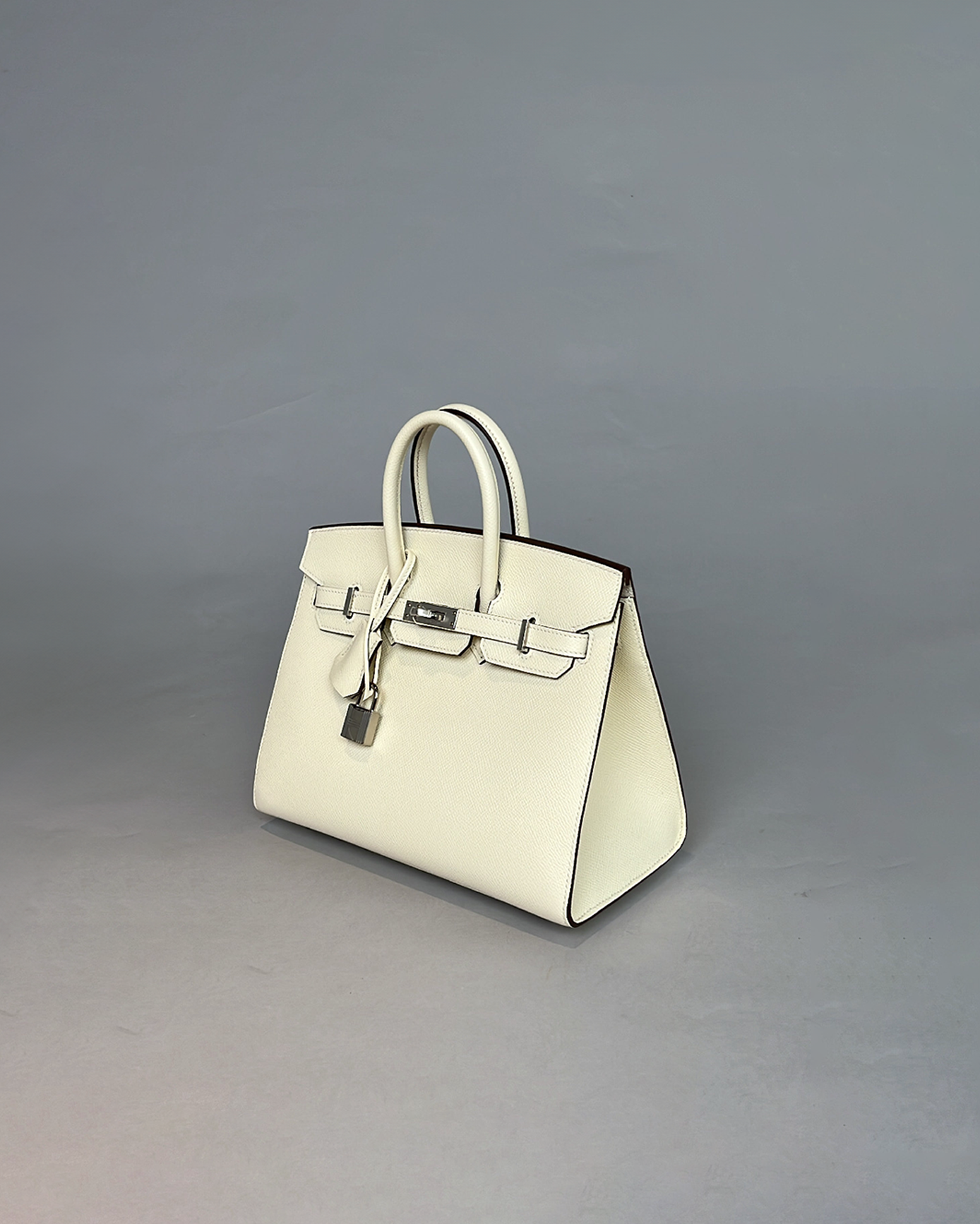 Birkin 25 Nata Sellier