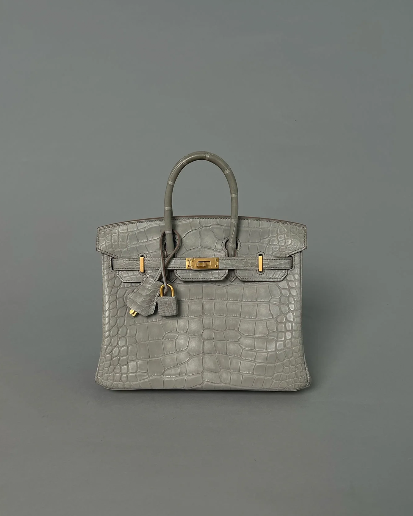 Birkin 25 Gris Perle