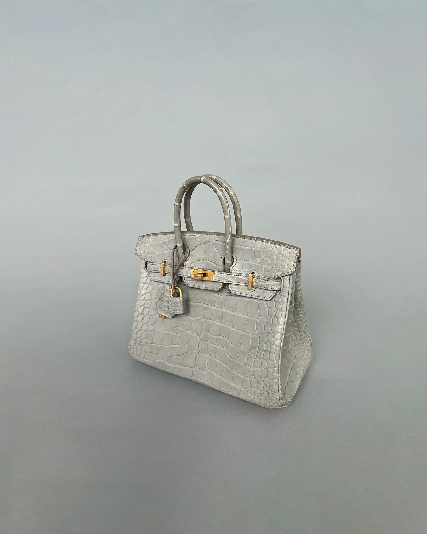 Birkin 25 Gris Perle