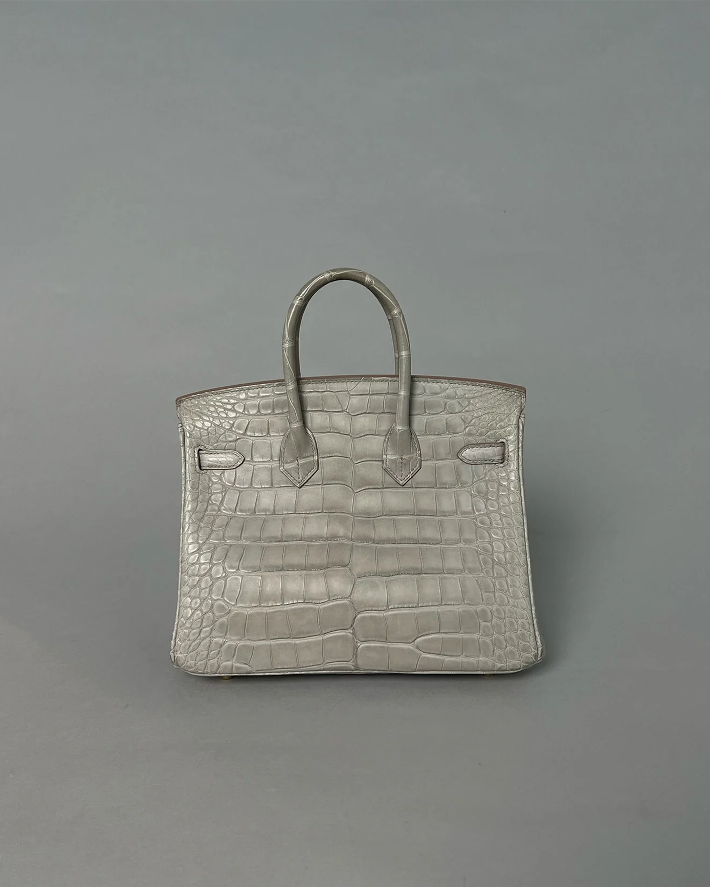 Birkin 25 Gris Perle