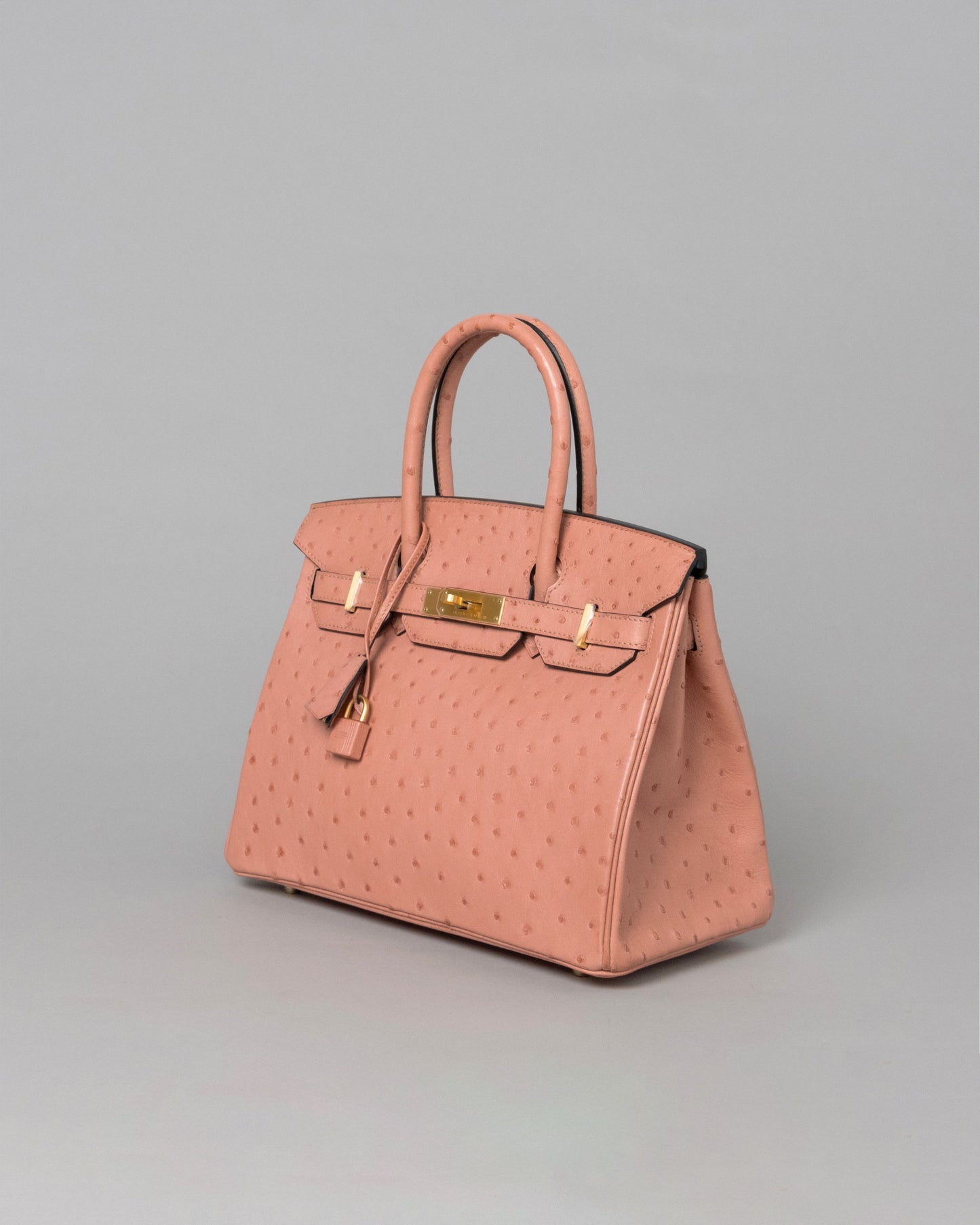 Birkin 30 Terre Cuite