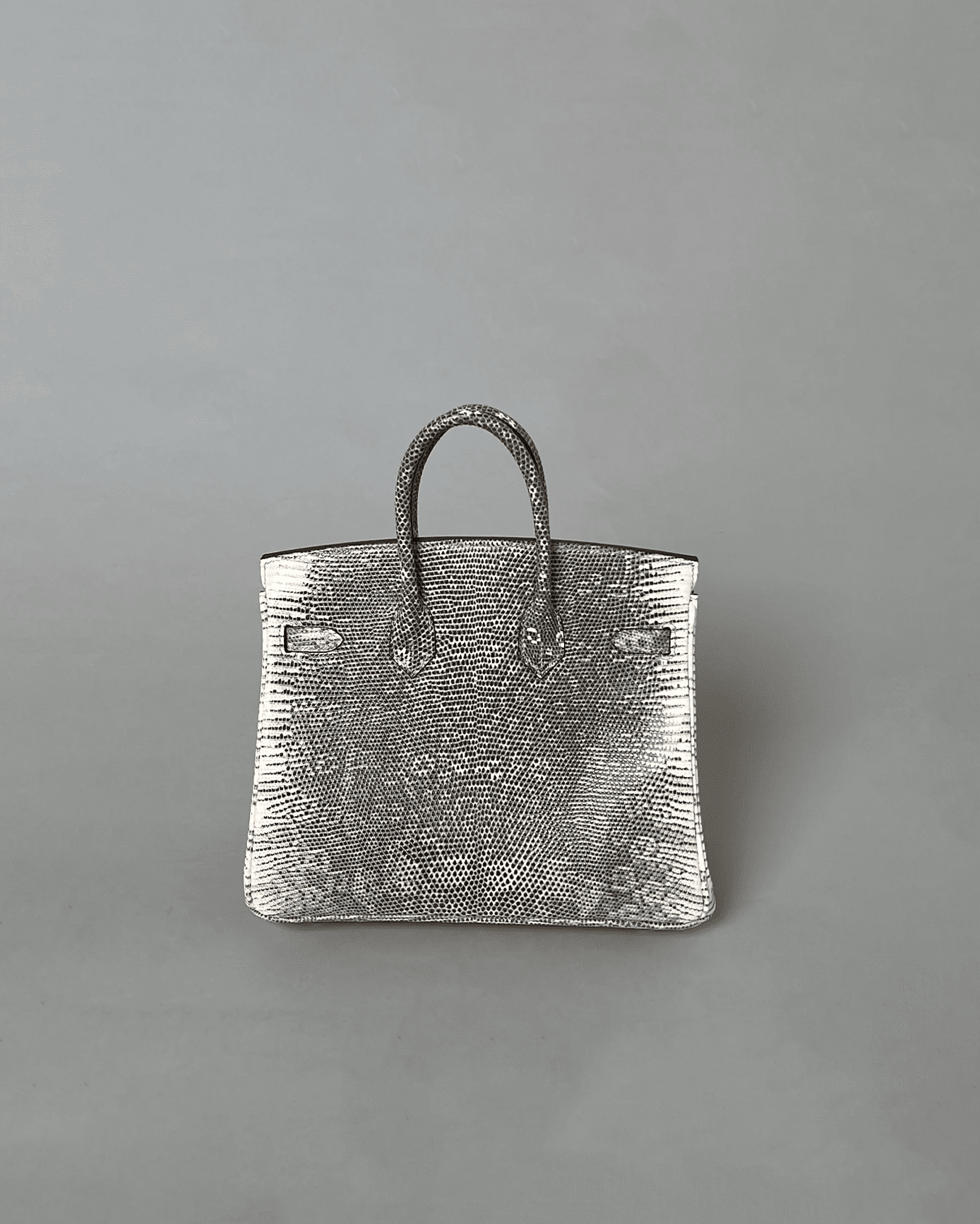 Birkin 25 ombré Lizard