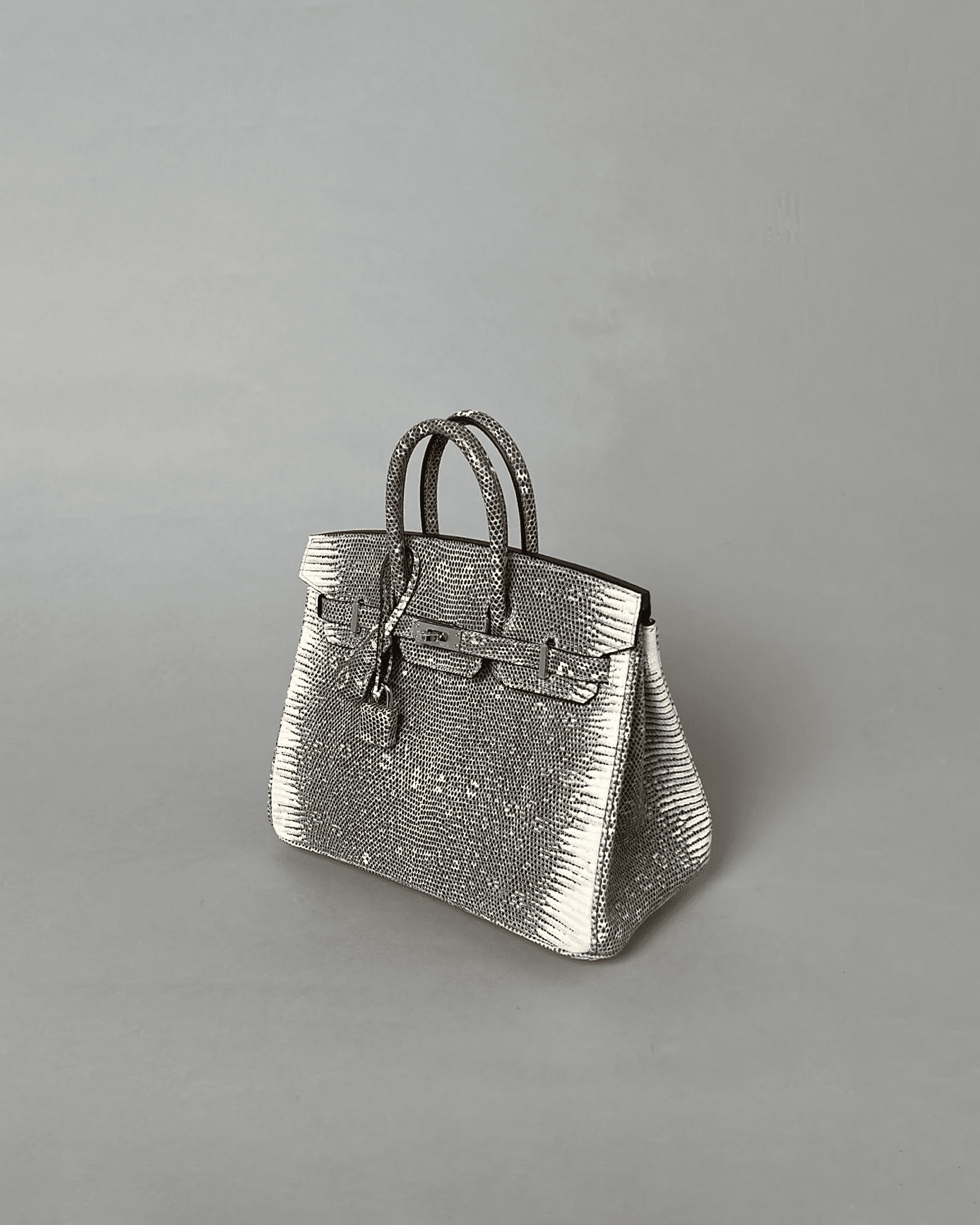 Birkin 25 ombré Lizard