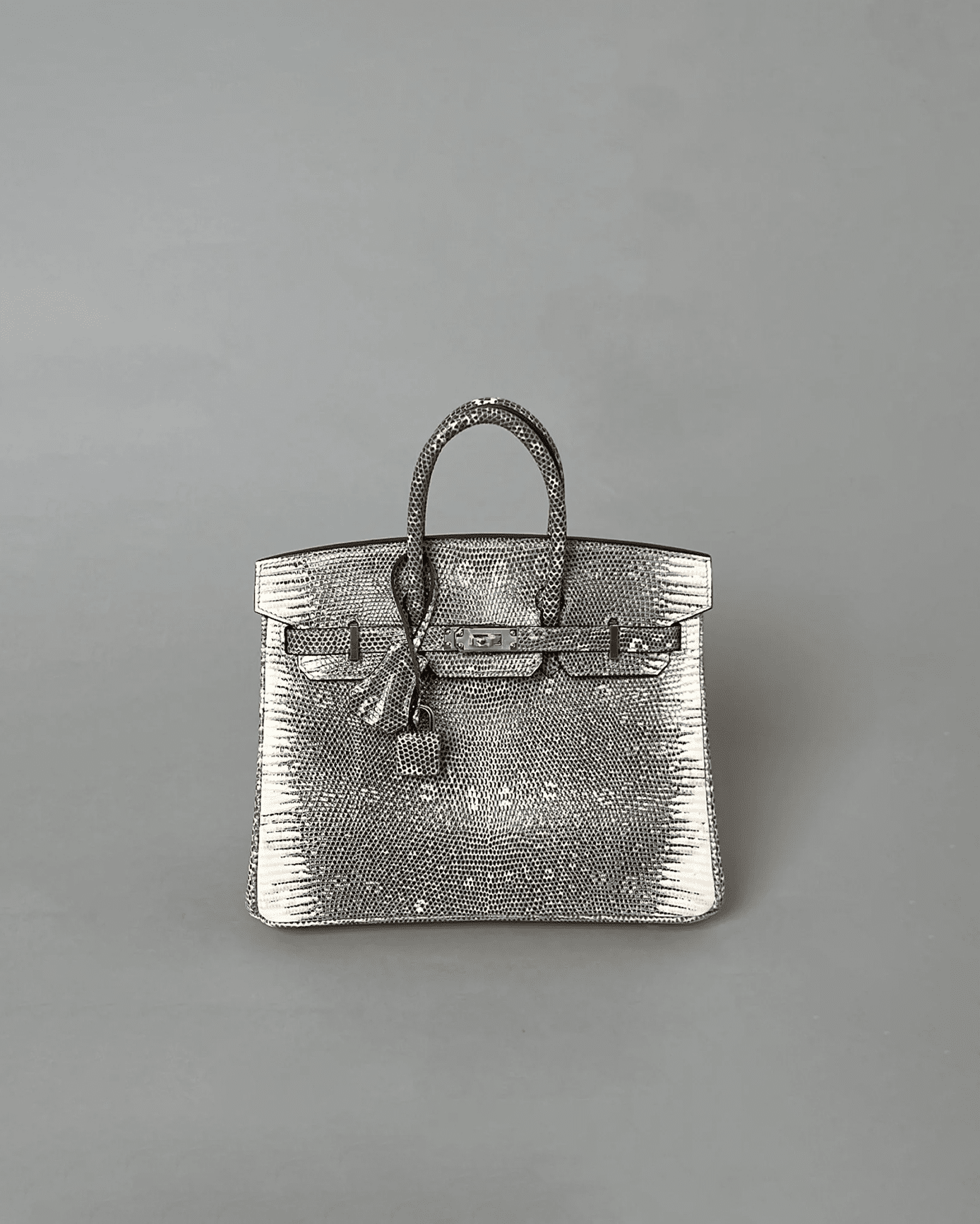 Birkin 25 ombré Lizard
