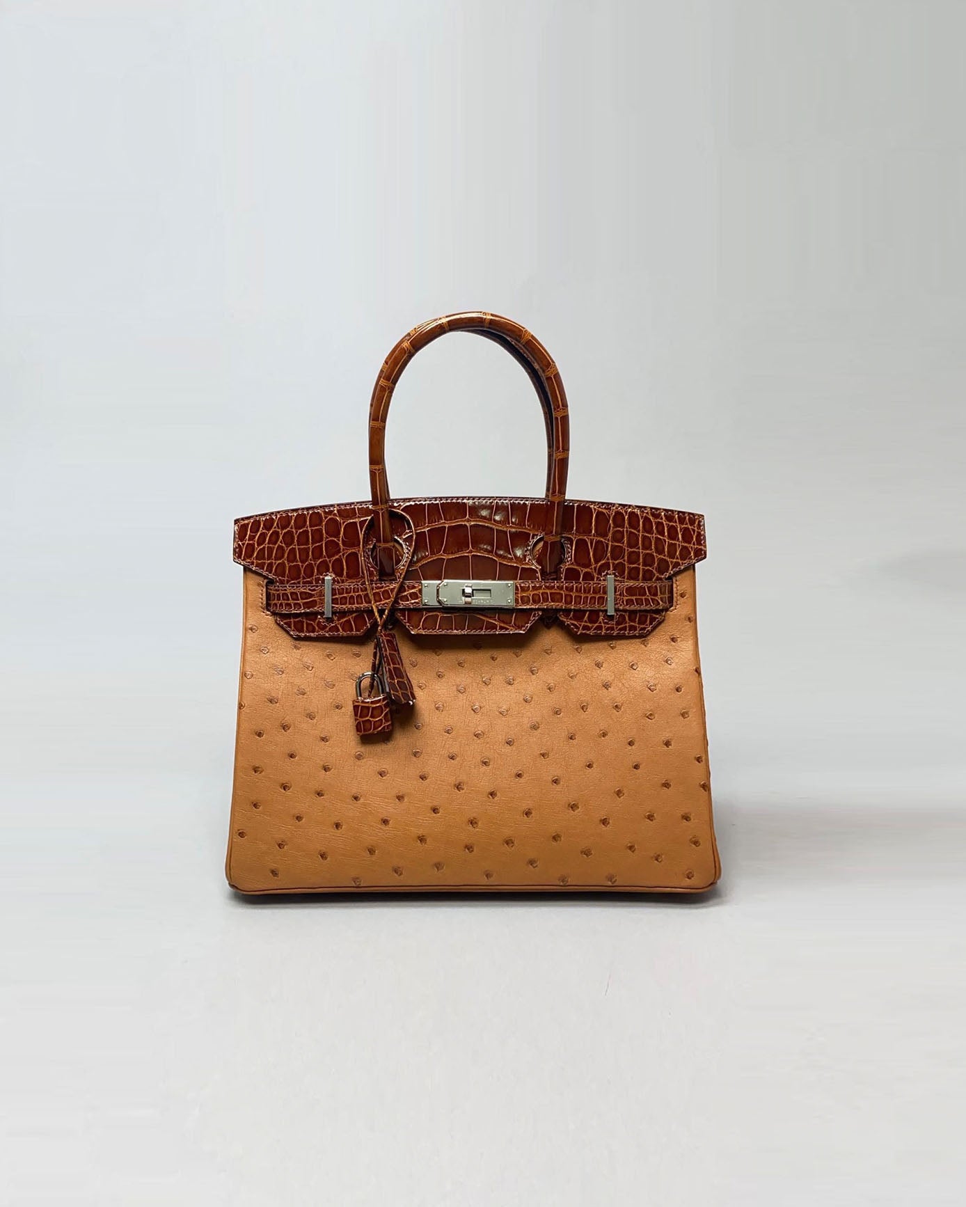 Birkin 30 Touch Miele