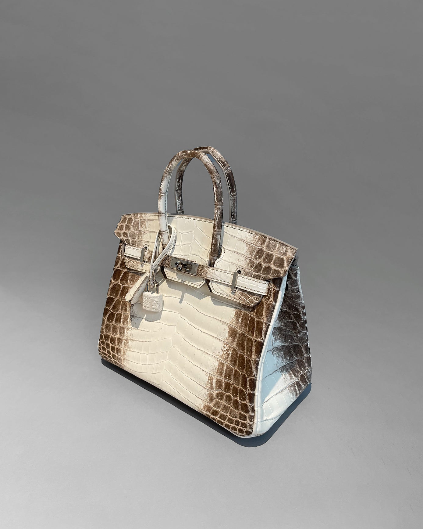 Birkin 25 Himalaya Blanc