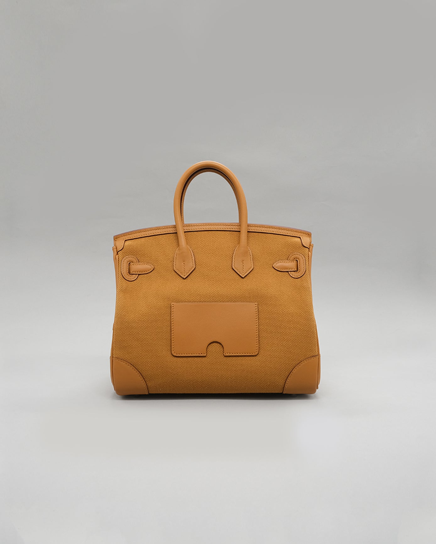 Birkin 25 Cargo Sesame