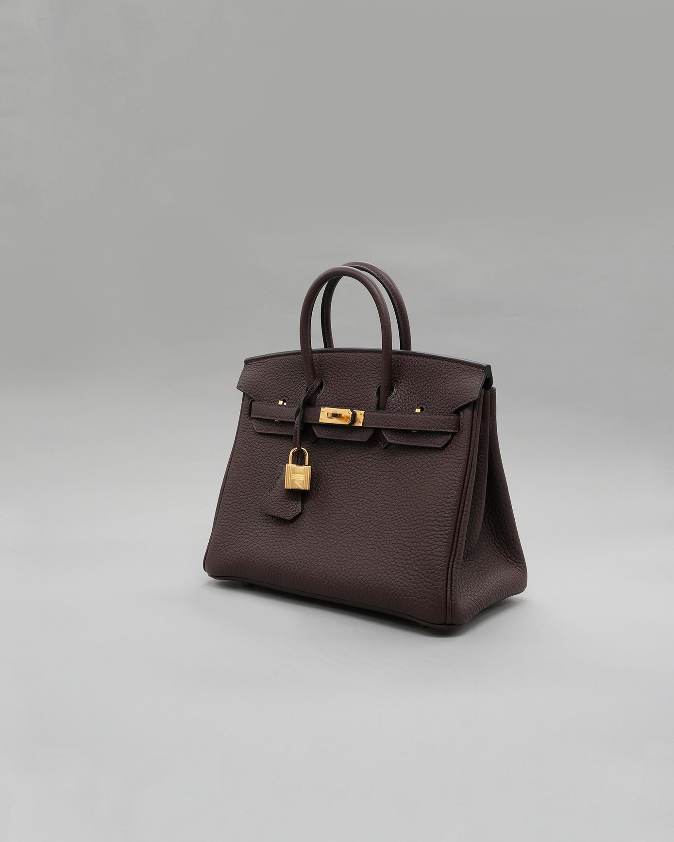Birkin 25 Rouge Sellier