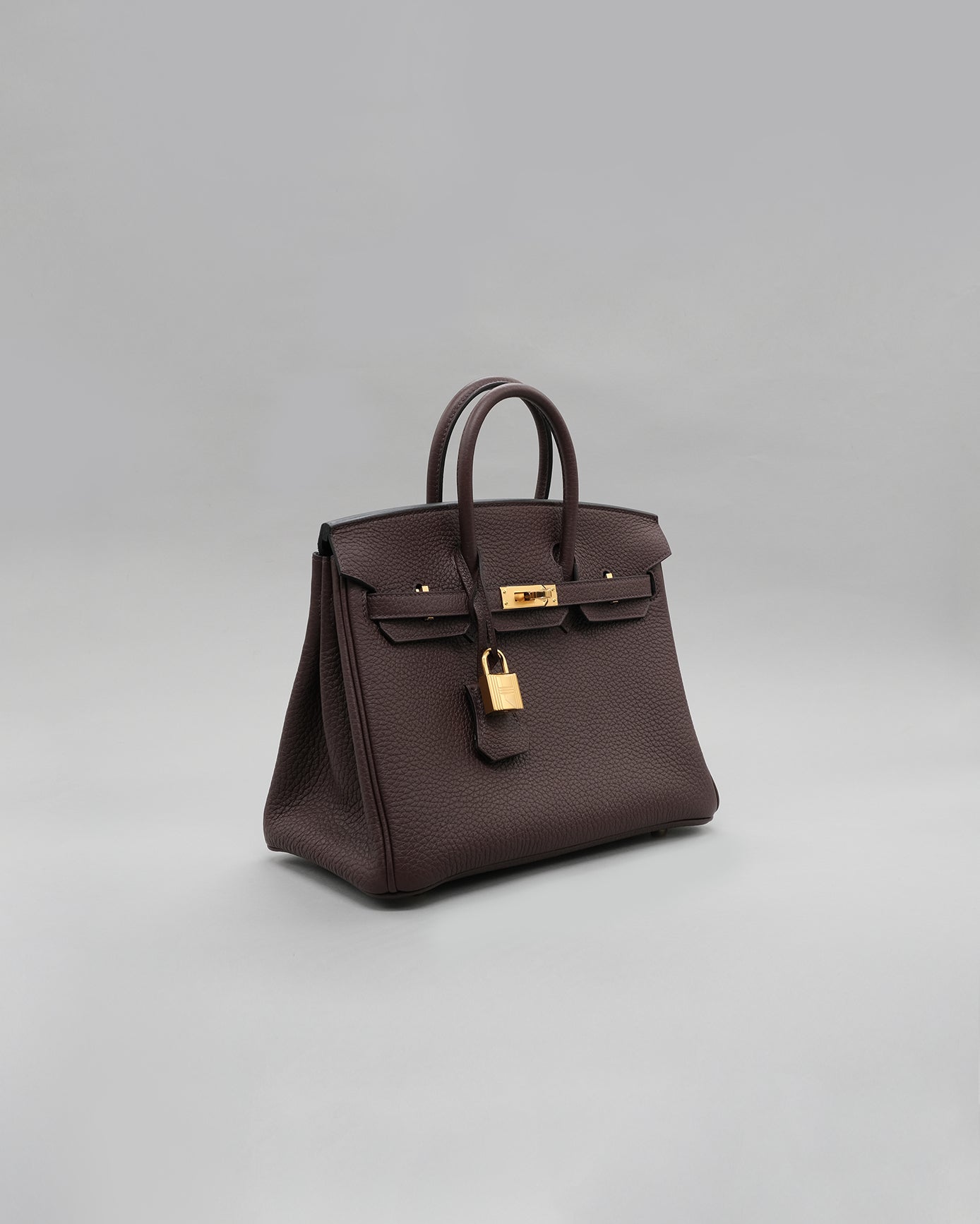 Birkin 25 Rouge Sellier