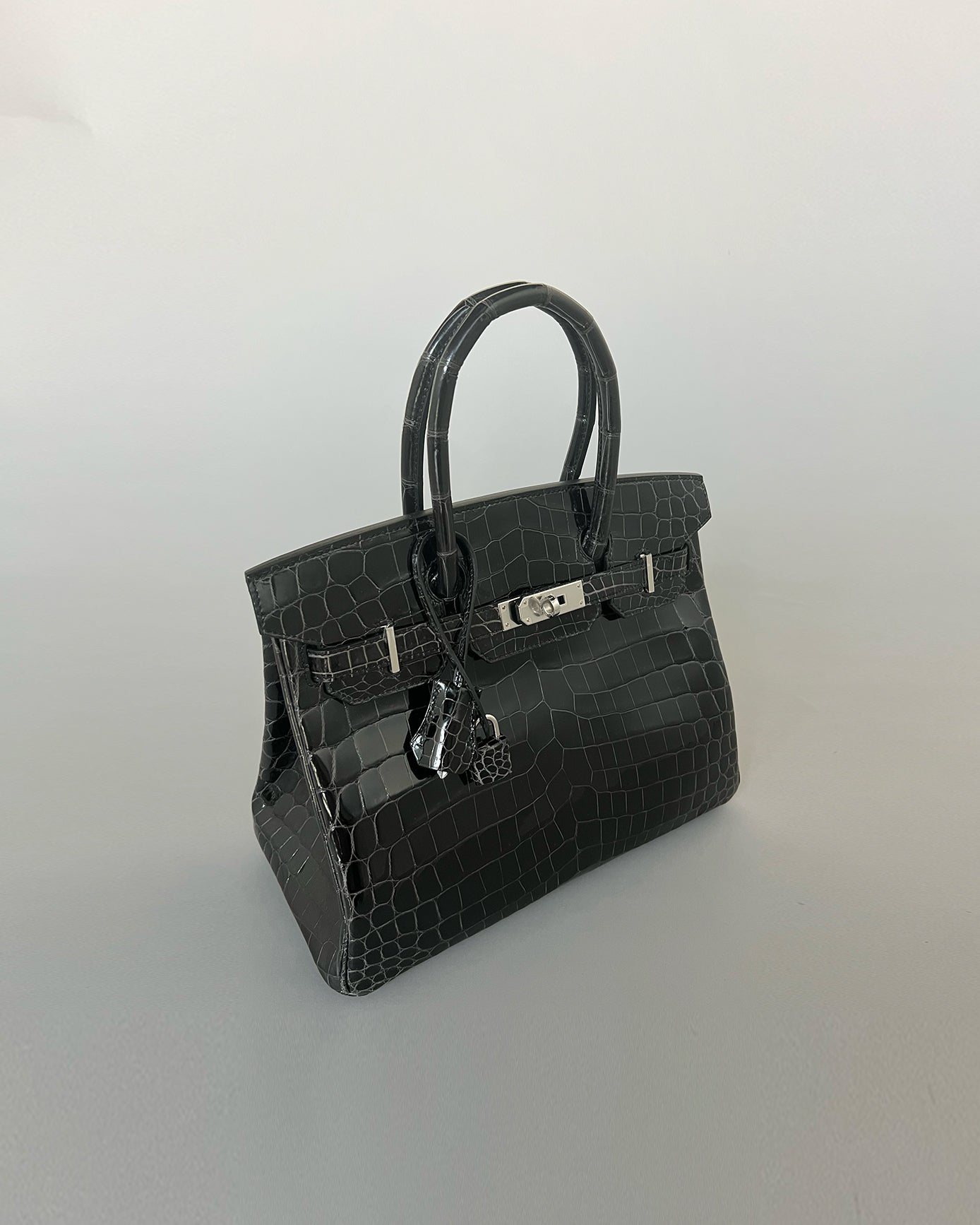 Birkin 30 Graphite Shiny Niloticus