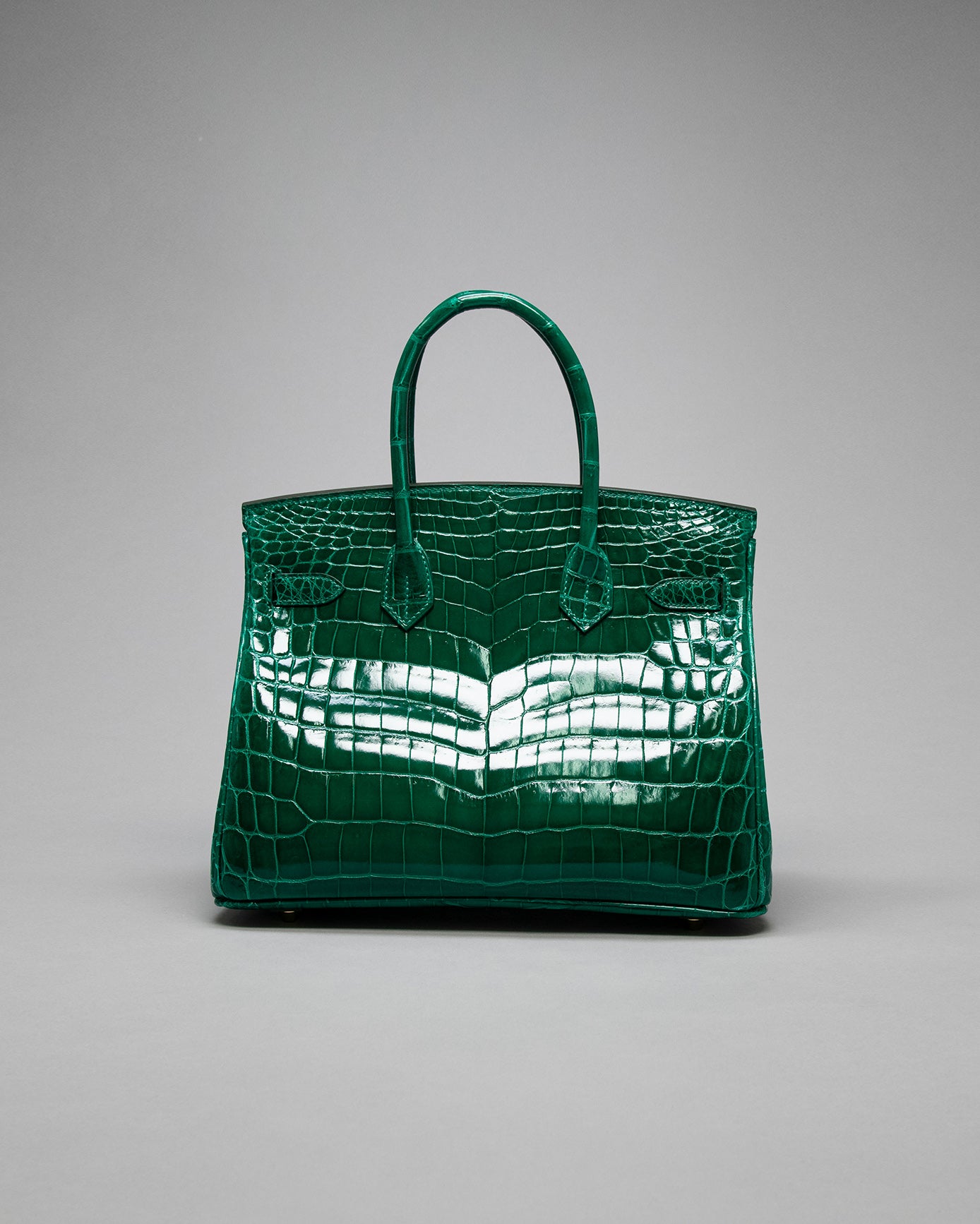 Birkin 30 Emerald Niloticus