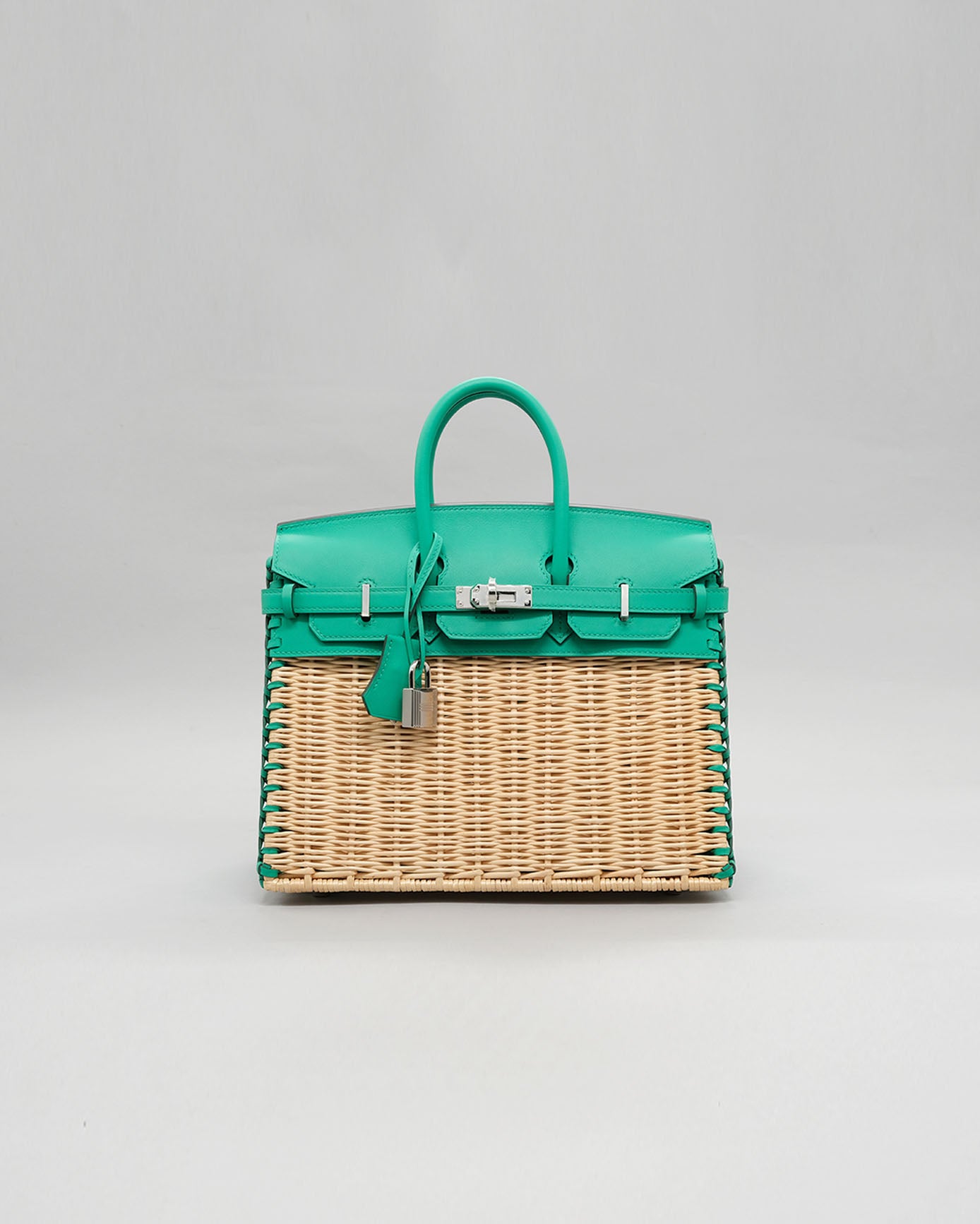 Birkin 25 Picnic Menthe