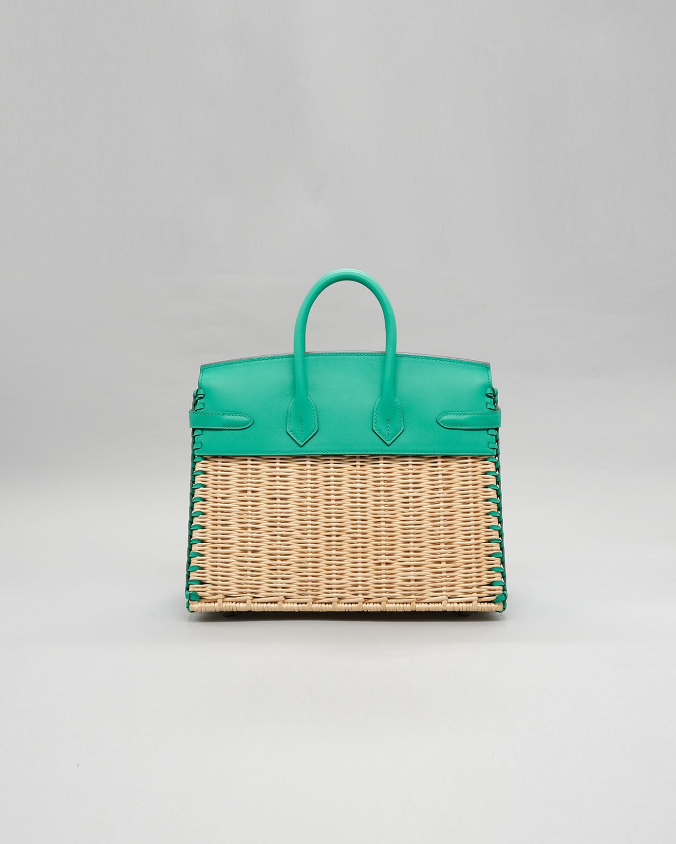 Birkin 25 Picnic Menthe