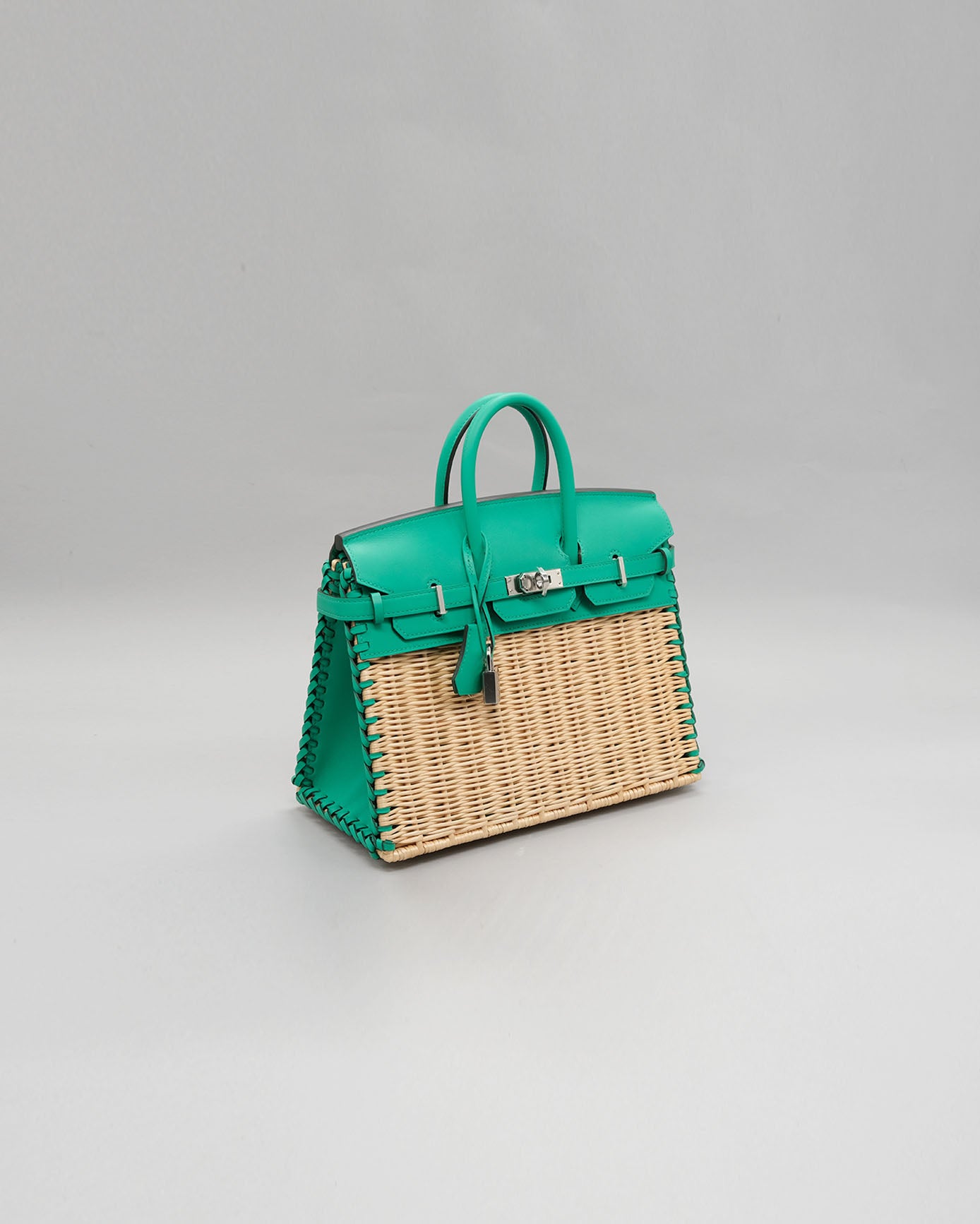Birkin 25 Picnic Menthe