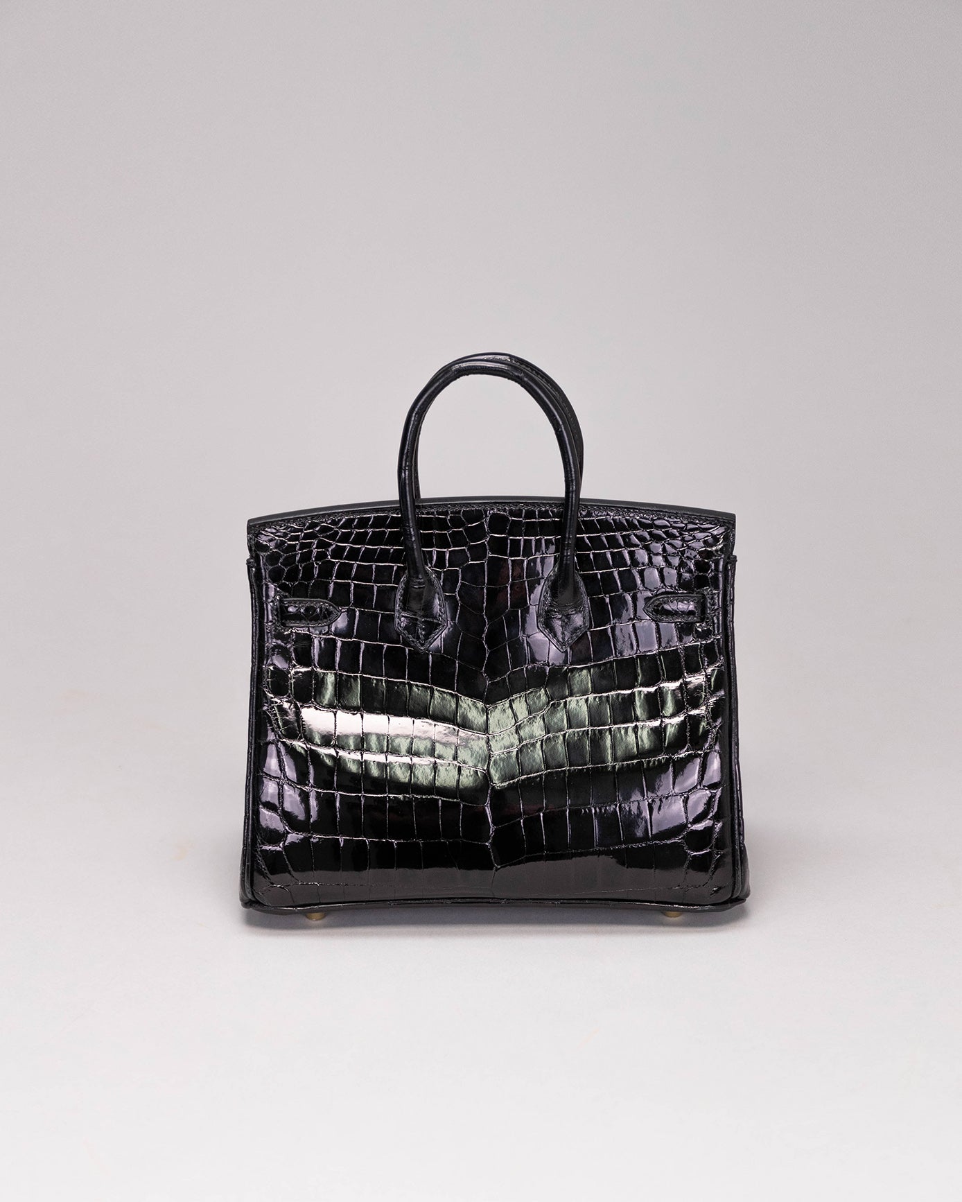 Birkin 25 Black Niloticus