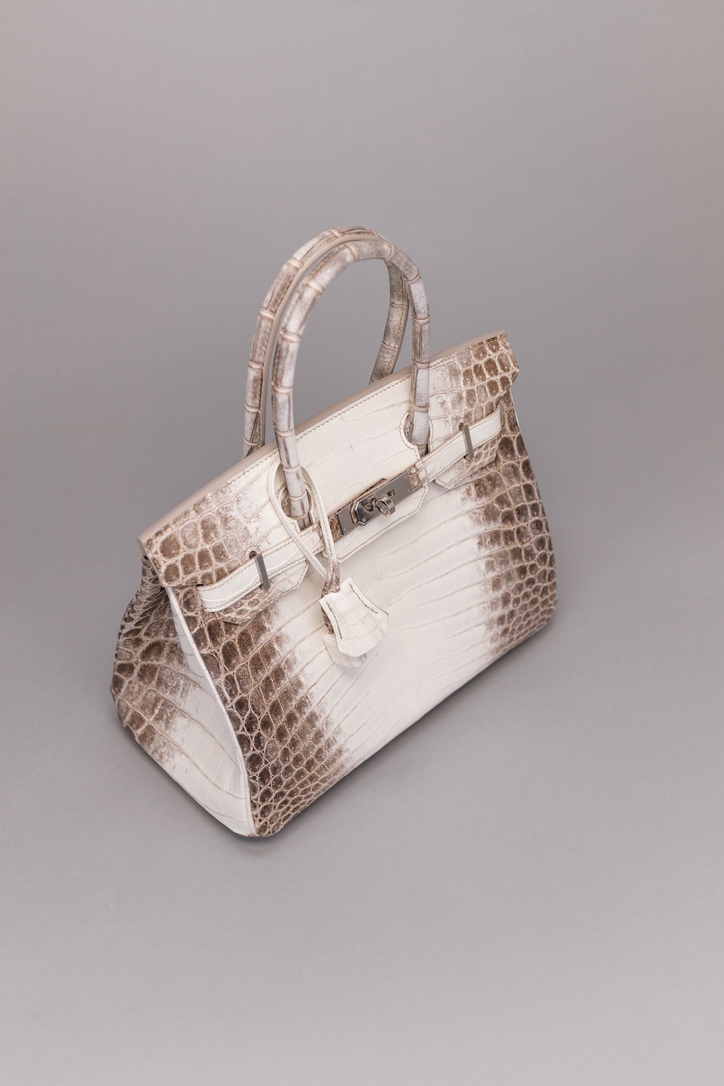 Birkin 30 Himalaya Blanc