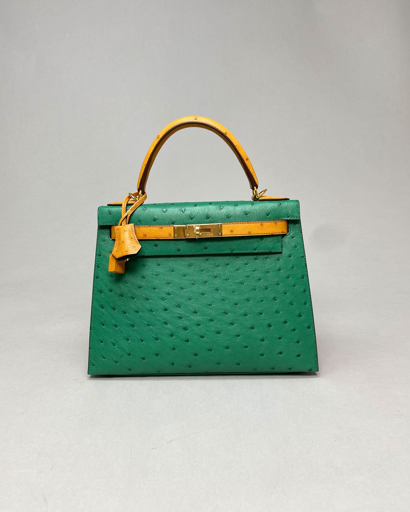 Kelly 28 Vert Vertigo / Gold