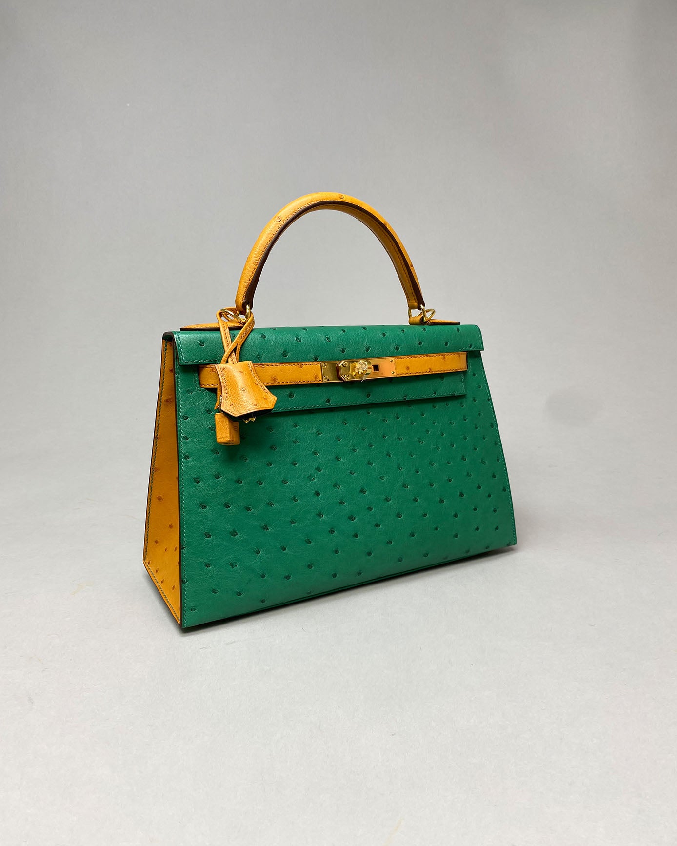 Kelly 28 Vert Vertigo / Gold