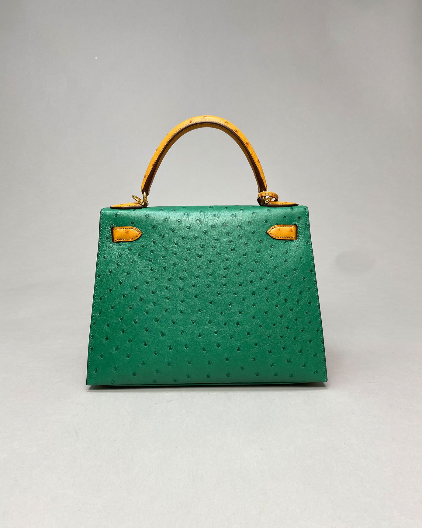 Kelly 28 Vert Vertigo / Gold