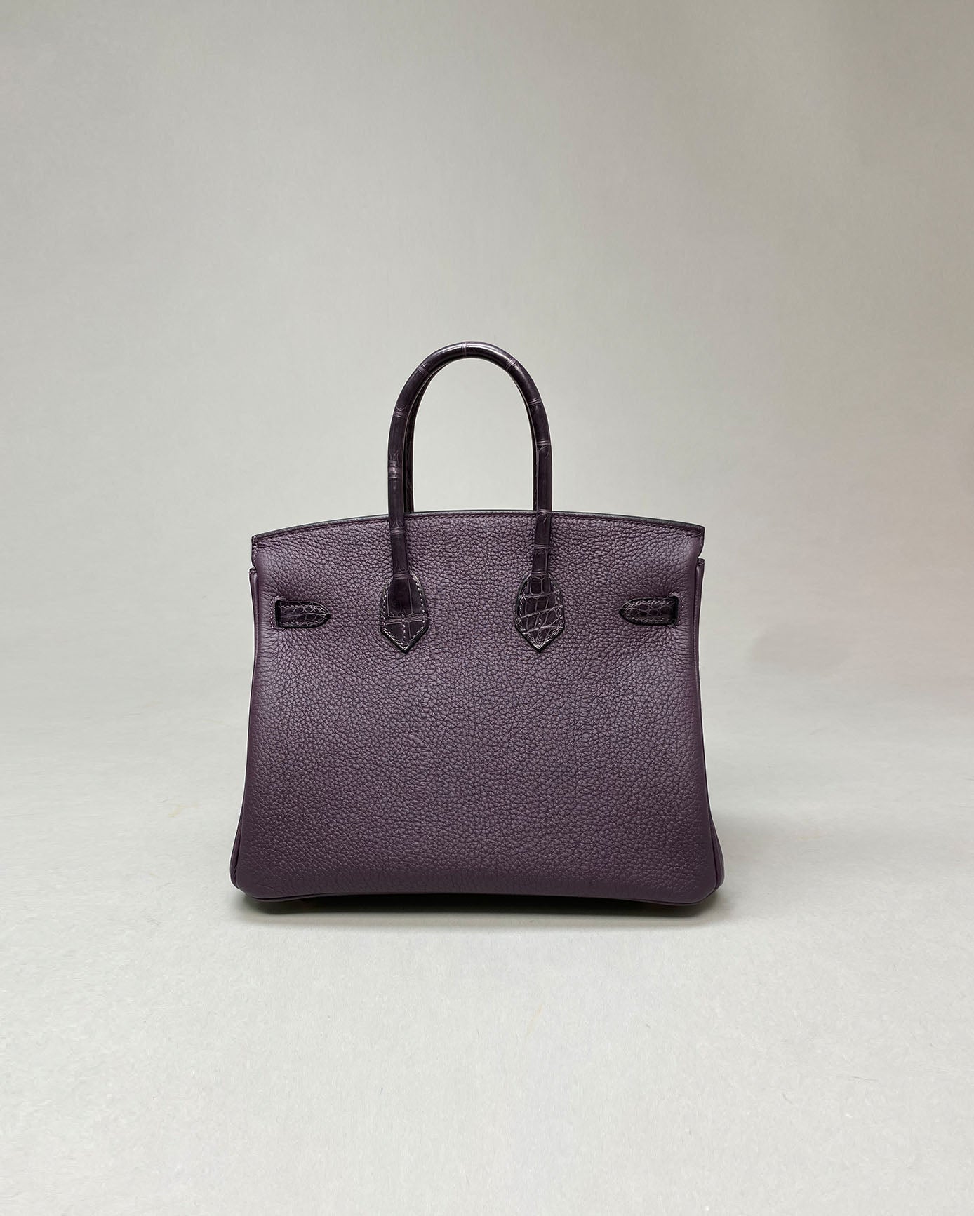 Birkin 25 Touch Raisin