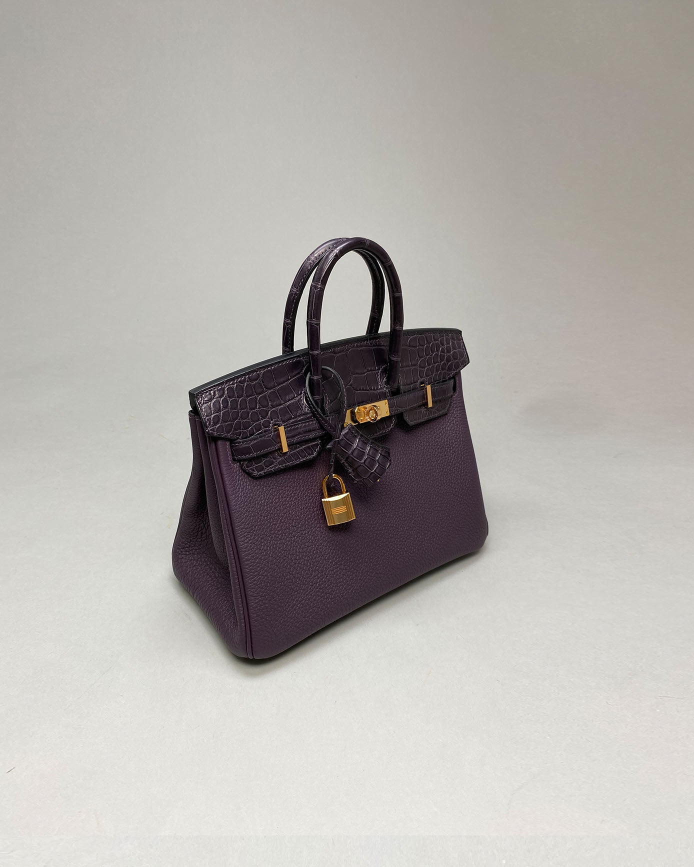 Birkin 25 Touch Raisin