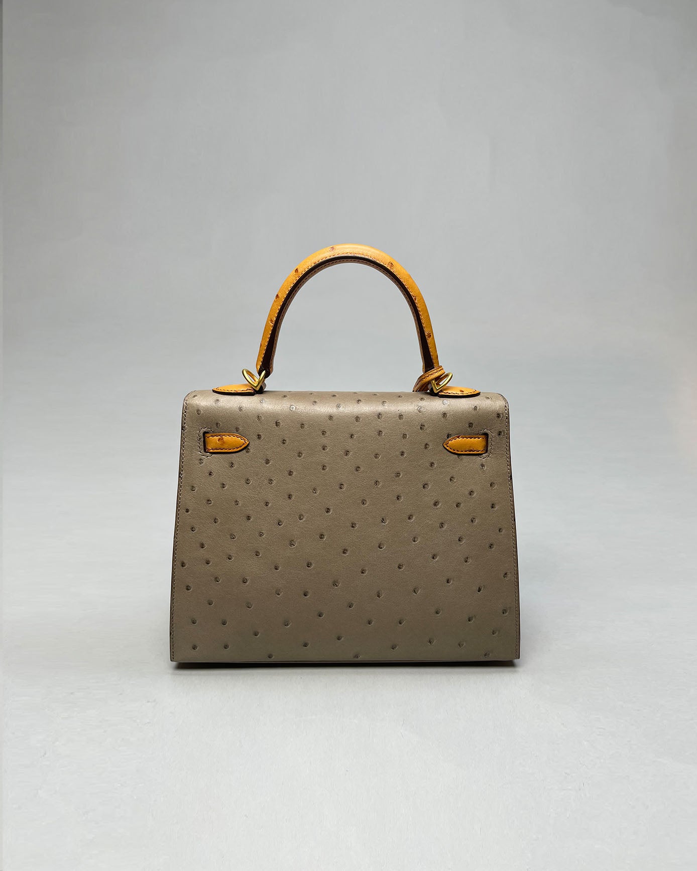 Kelly 25 Asphalt / Gold
