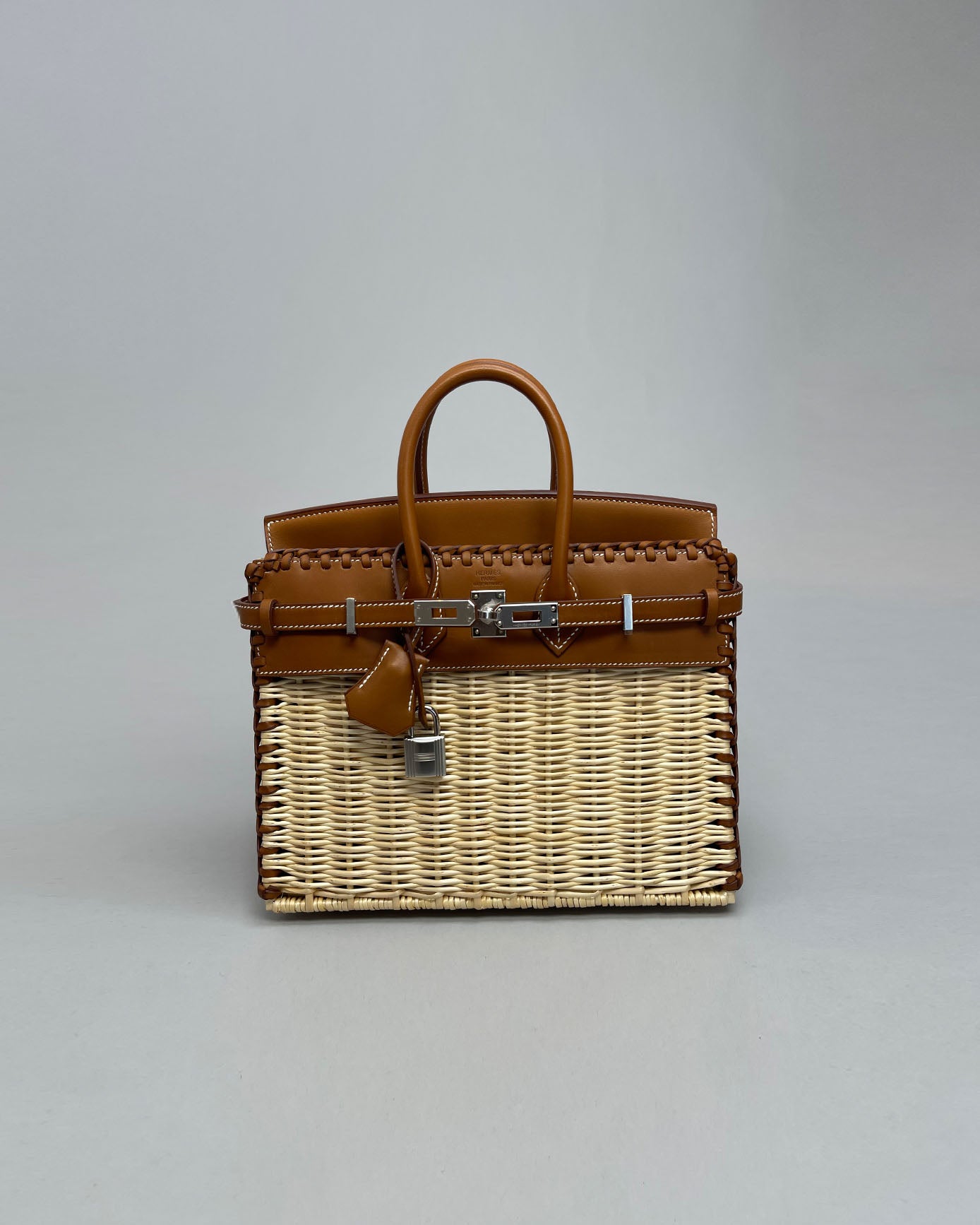 Birkin 25 Picnic Barenia