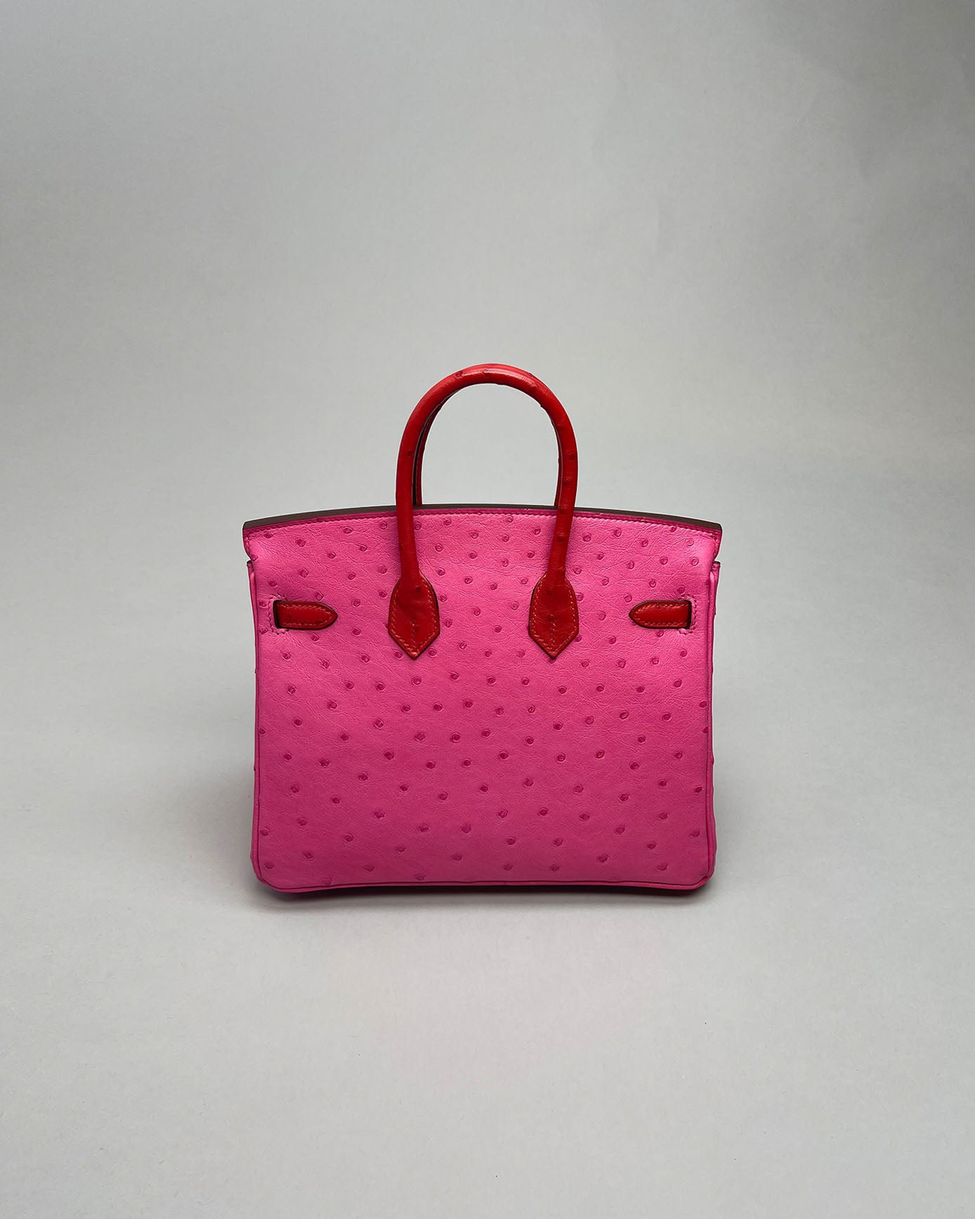 Birkin 25 Touch Fuchsia/Rouge vif