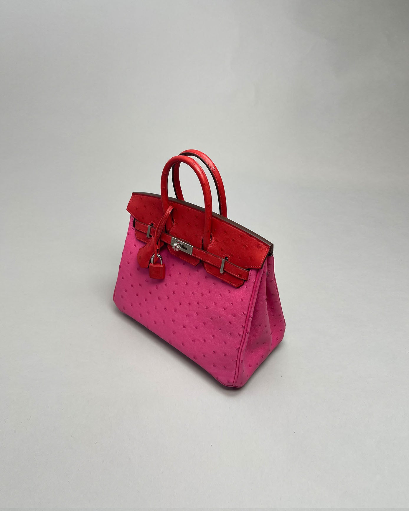 Birkin 25 Touch Fuchsia/Rouge vif