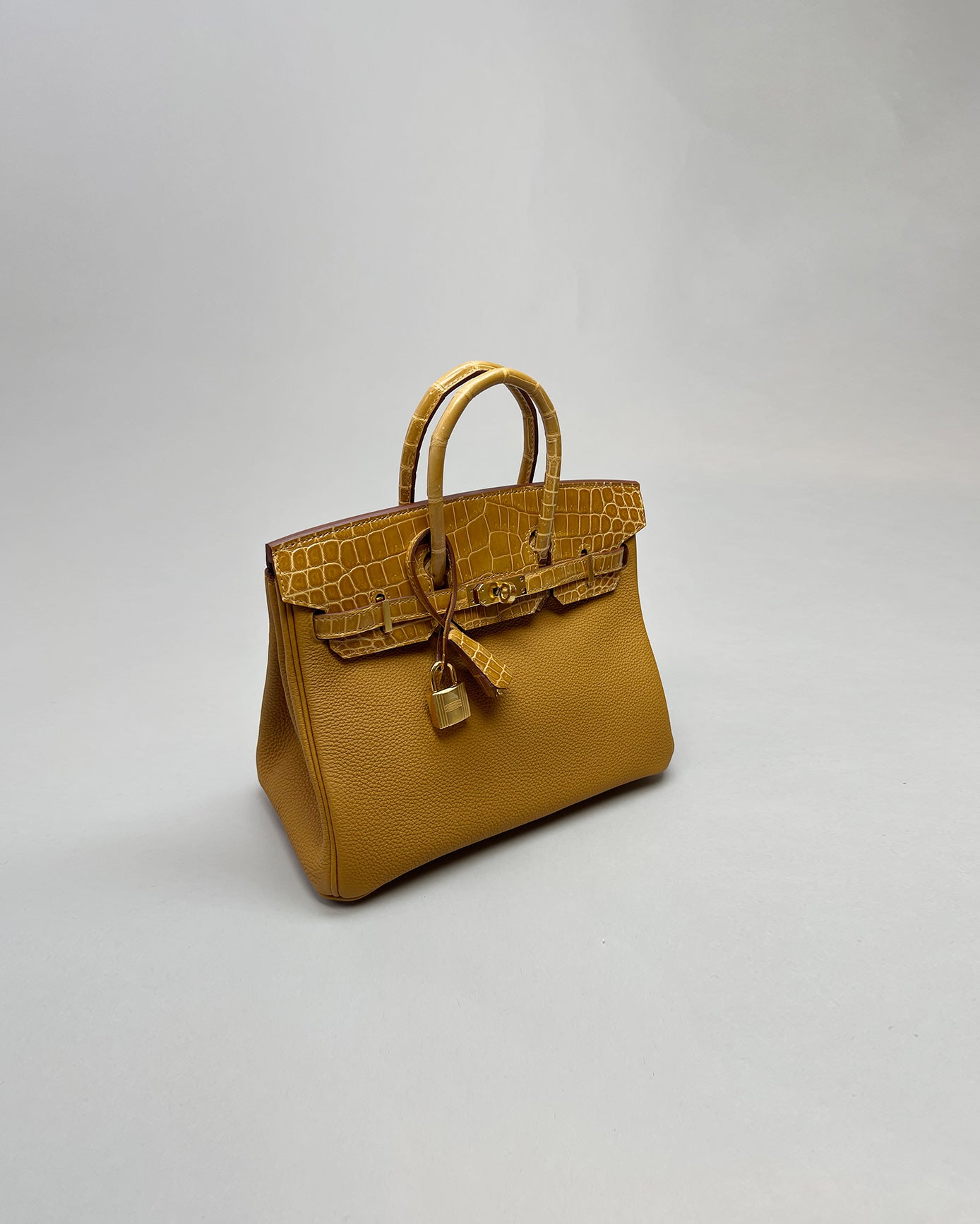 Birkin 25 Touch Caramel