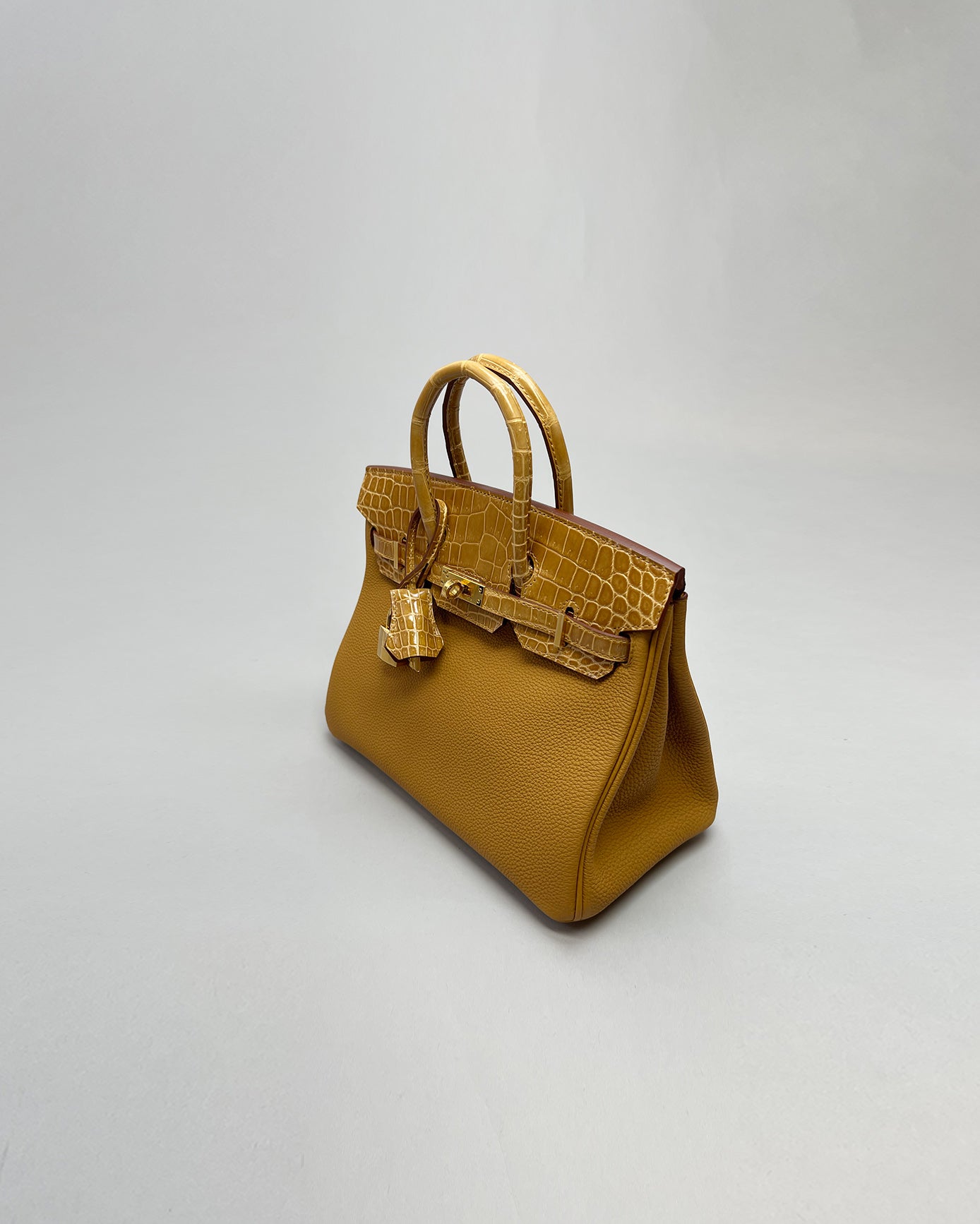 Birkin 25 Touch Caramel