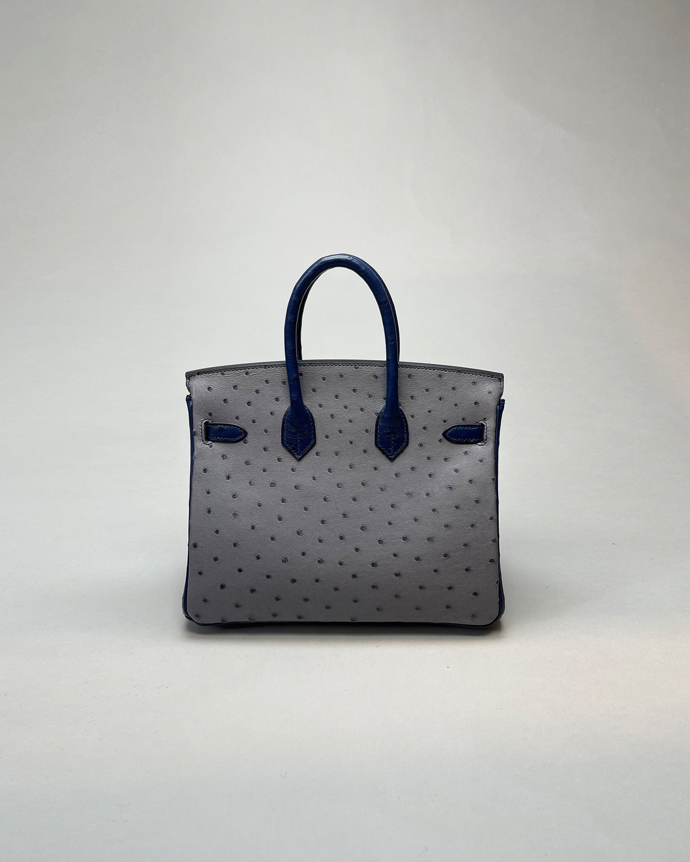Birkin 25 Gris Agate / Blue Indigo