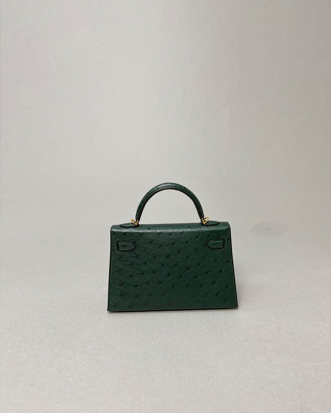 Kelly 20 Vert Titien