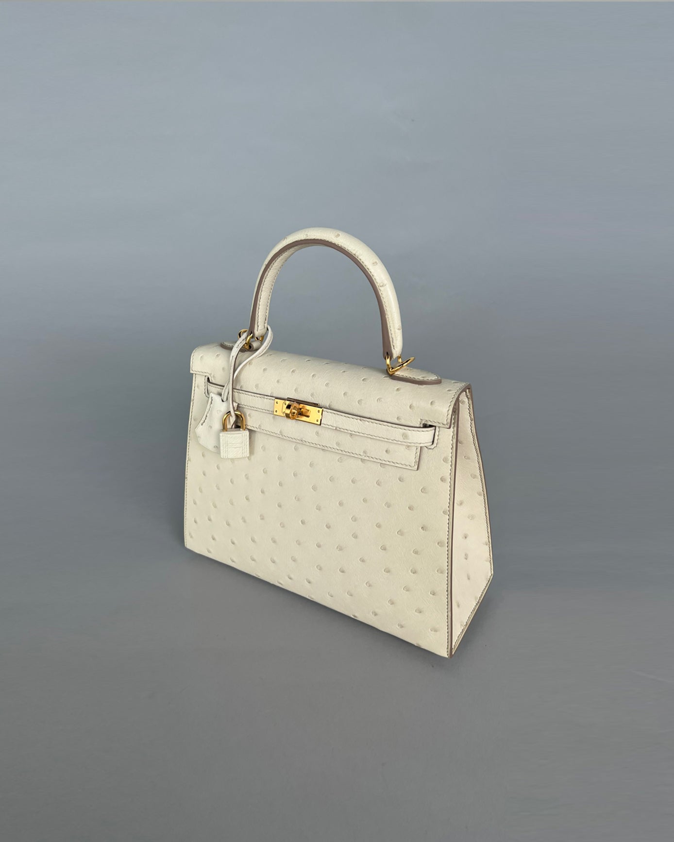 Kelly 25 Beton Ostrich