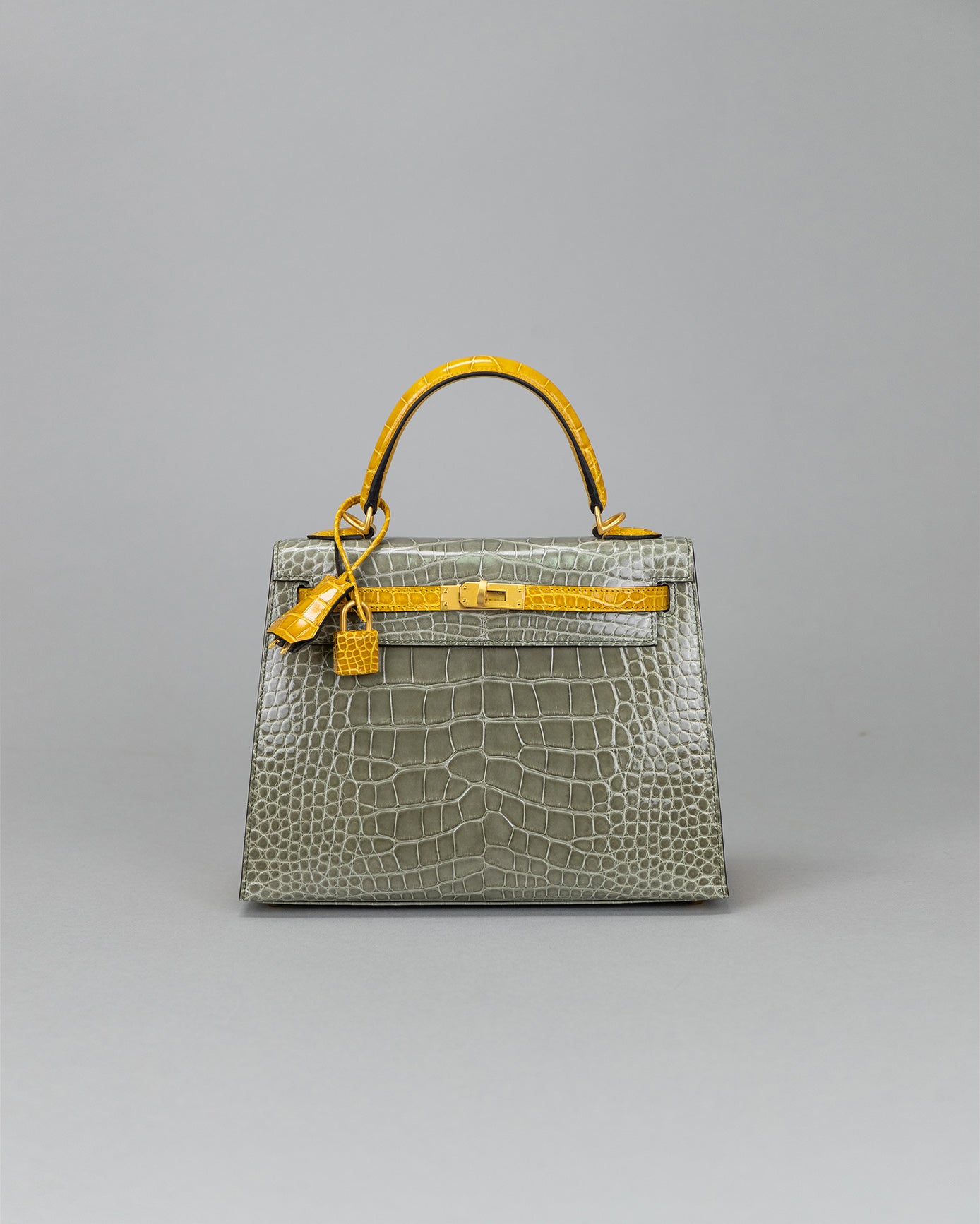 Kelly 25 Gris Tourtelle / jaune ambre