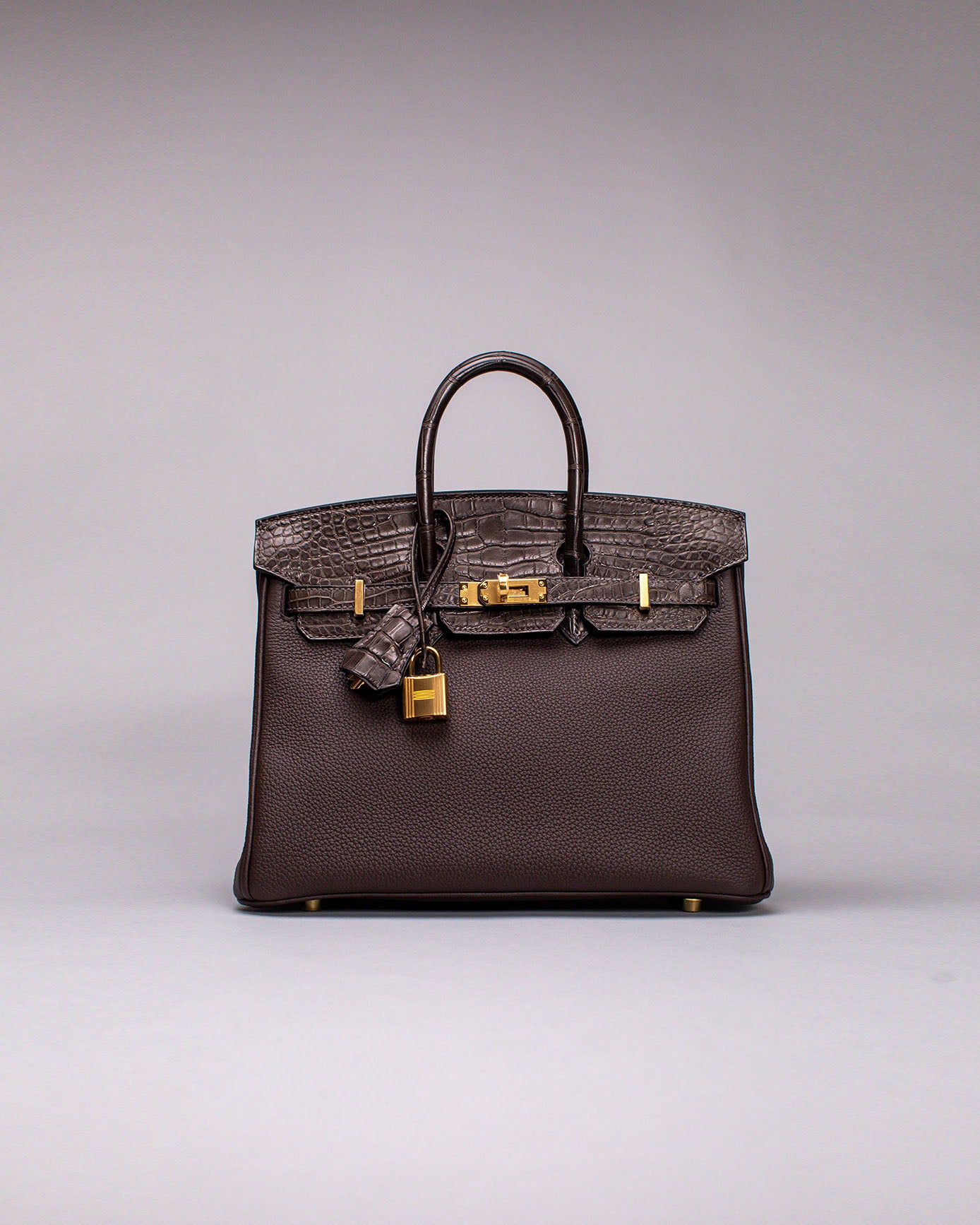 Birkin 25 Touch Ebene