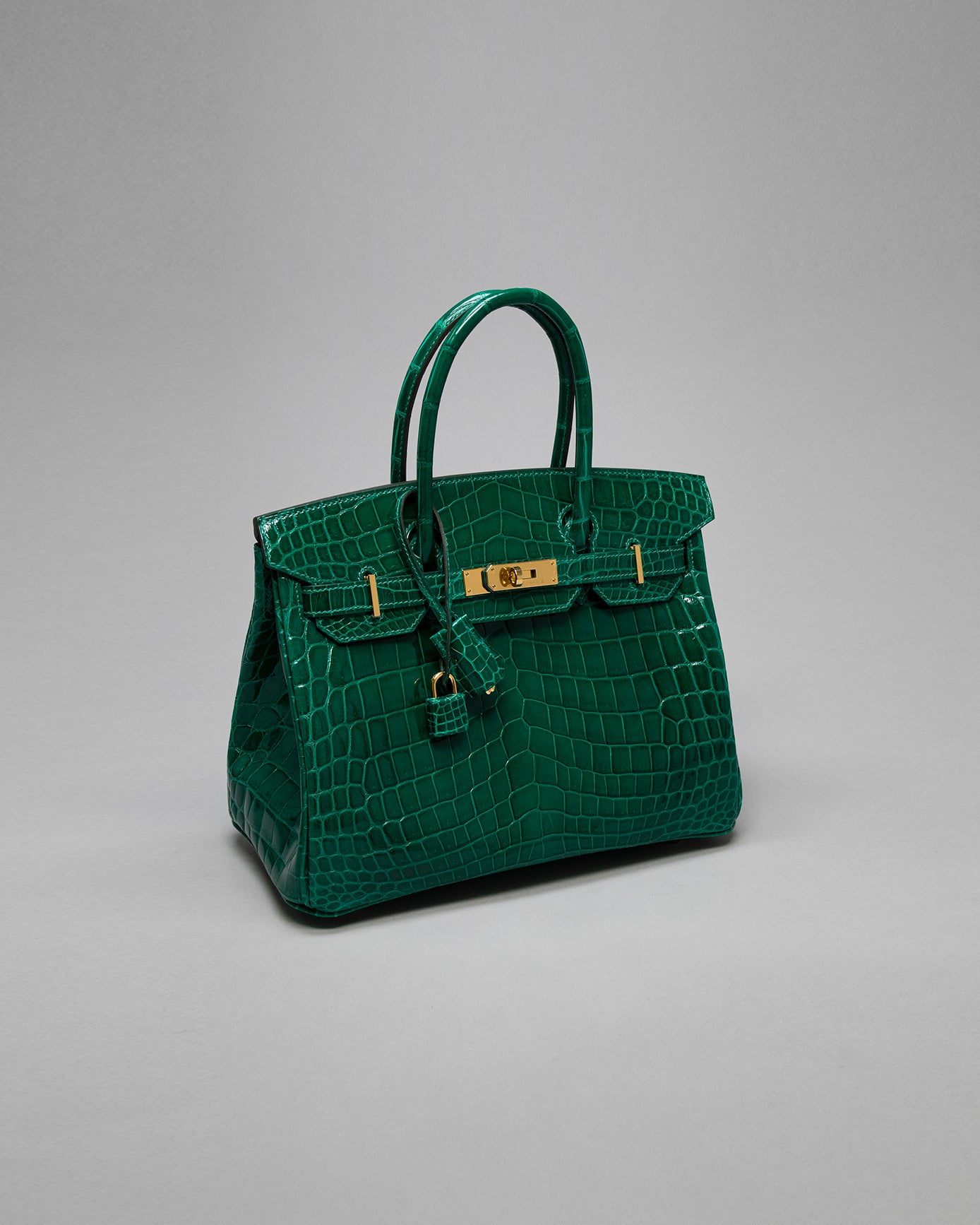 Birkin 30 Emerald Niloticus