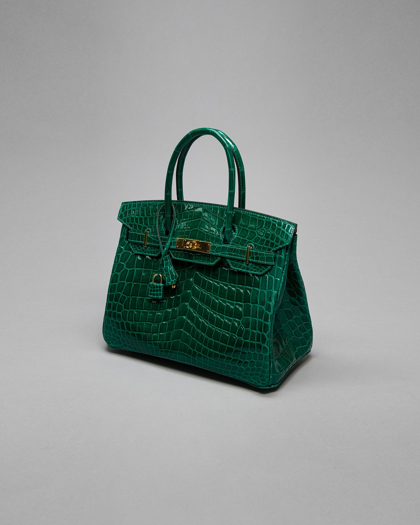 Birkin 30 Emerald Niloticus