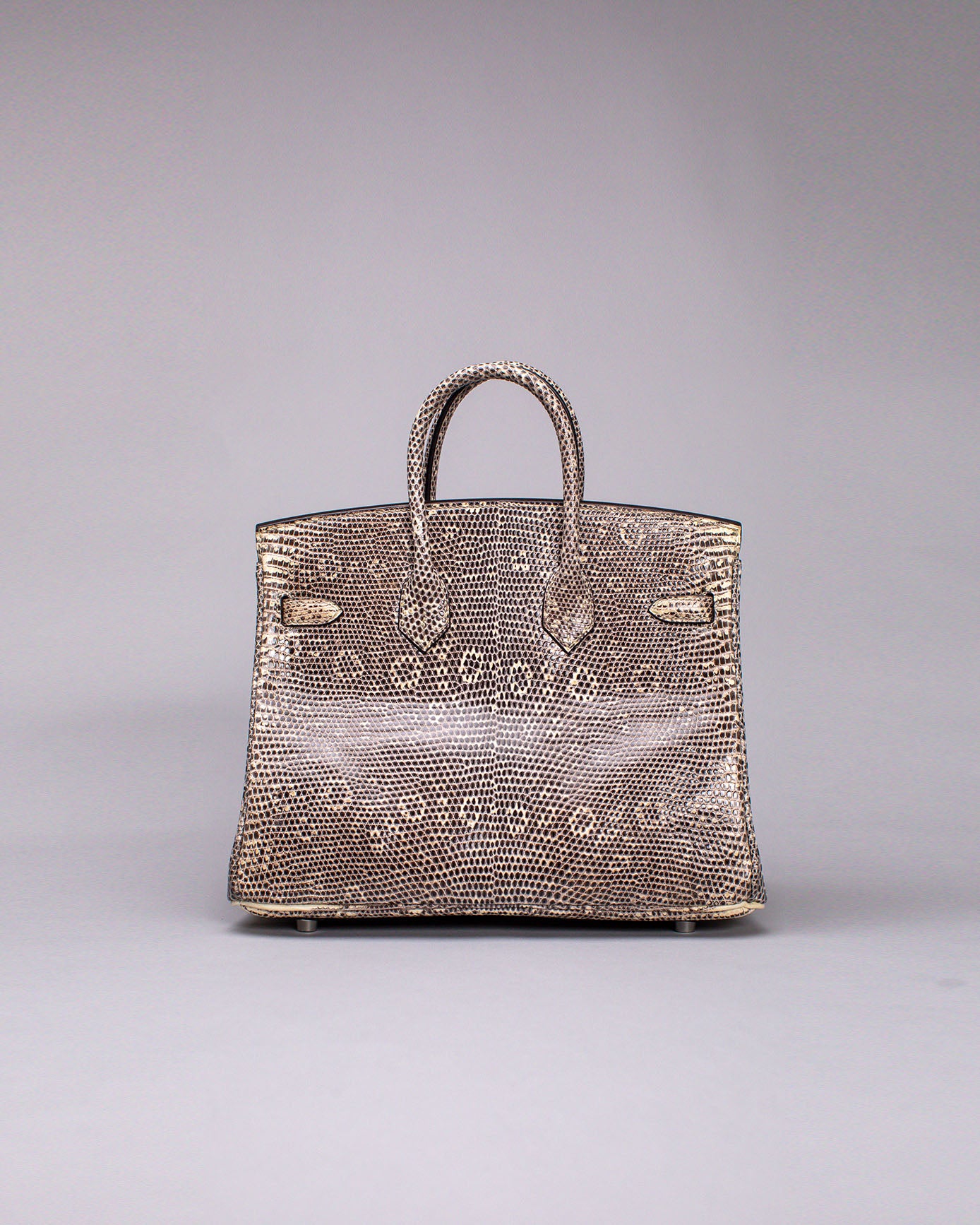 Birkin 25 Lizard Ombré