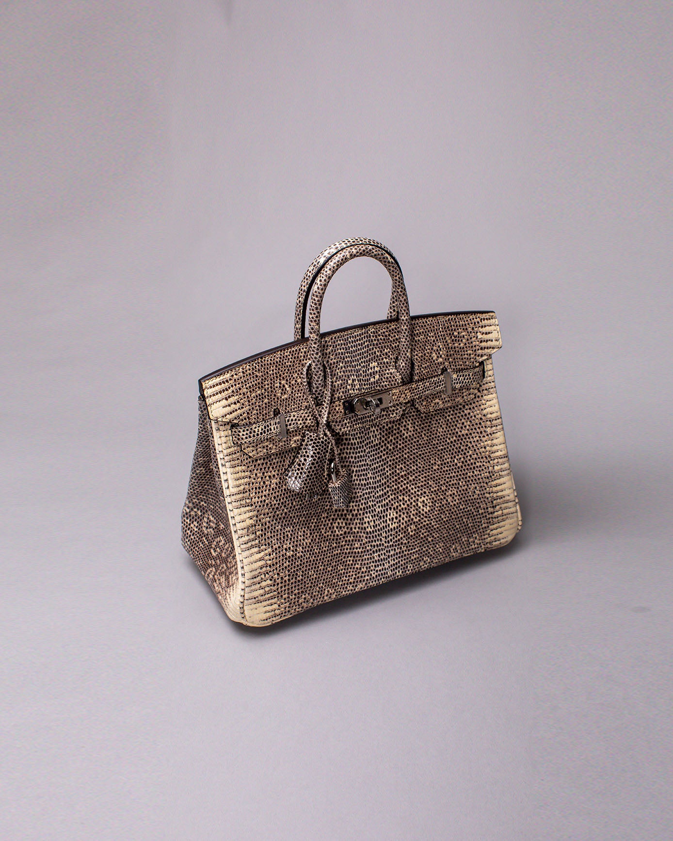 Birkin 25 Lizard Ombré