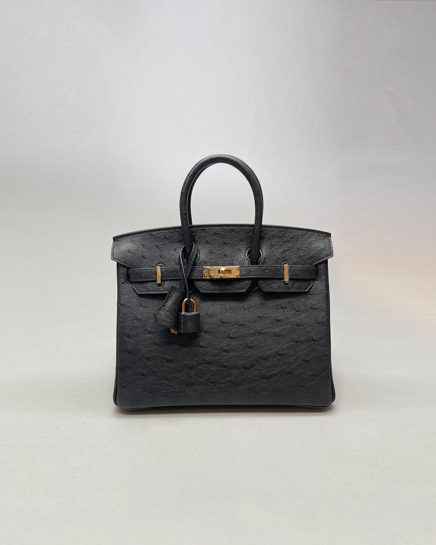 birkin ostrich black