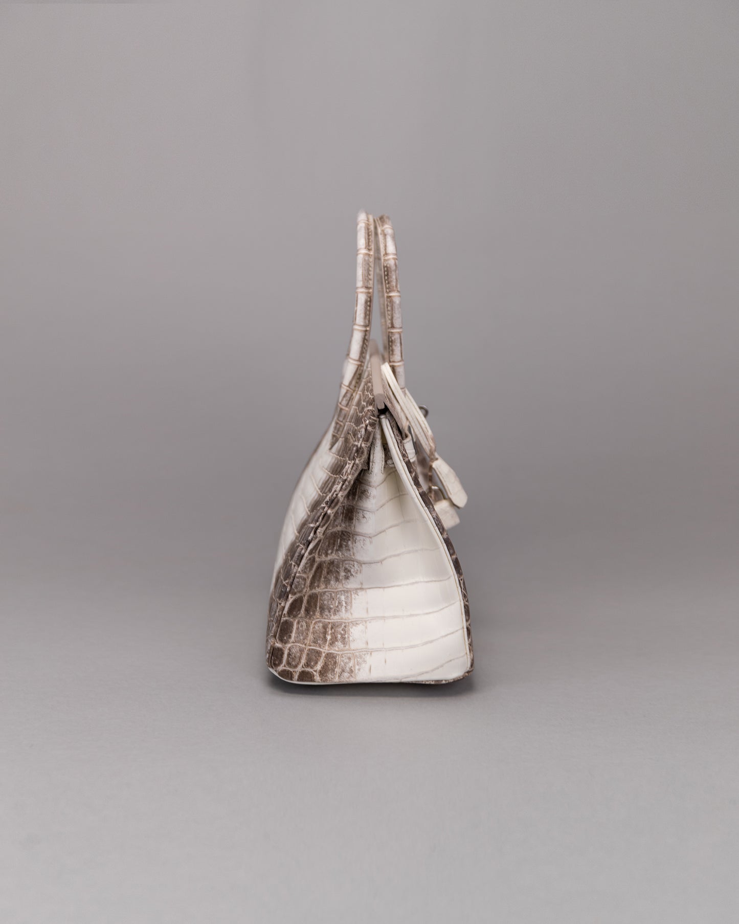 Birkin 30 Himalaya Blanc