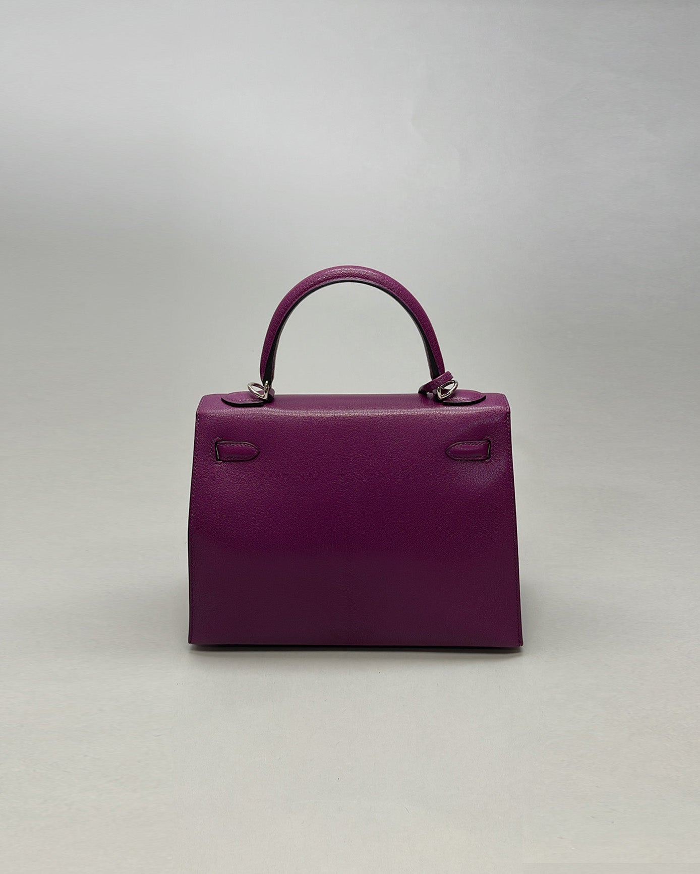 Kelly 25 Anemone