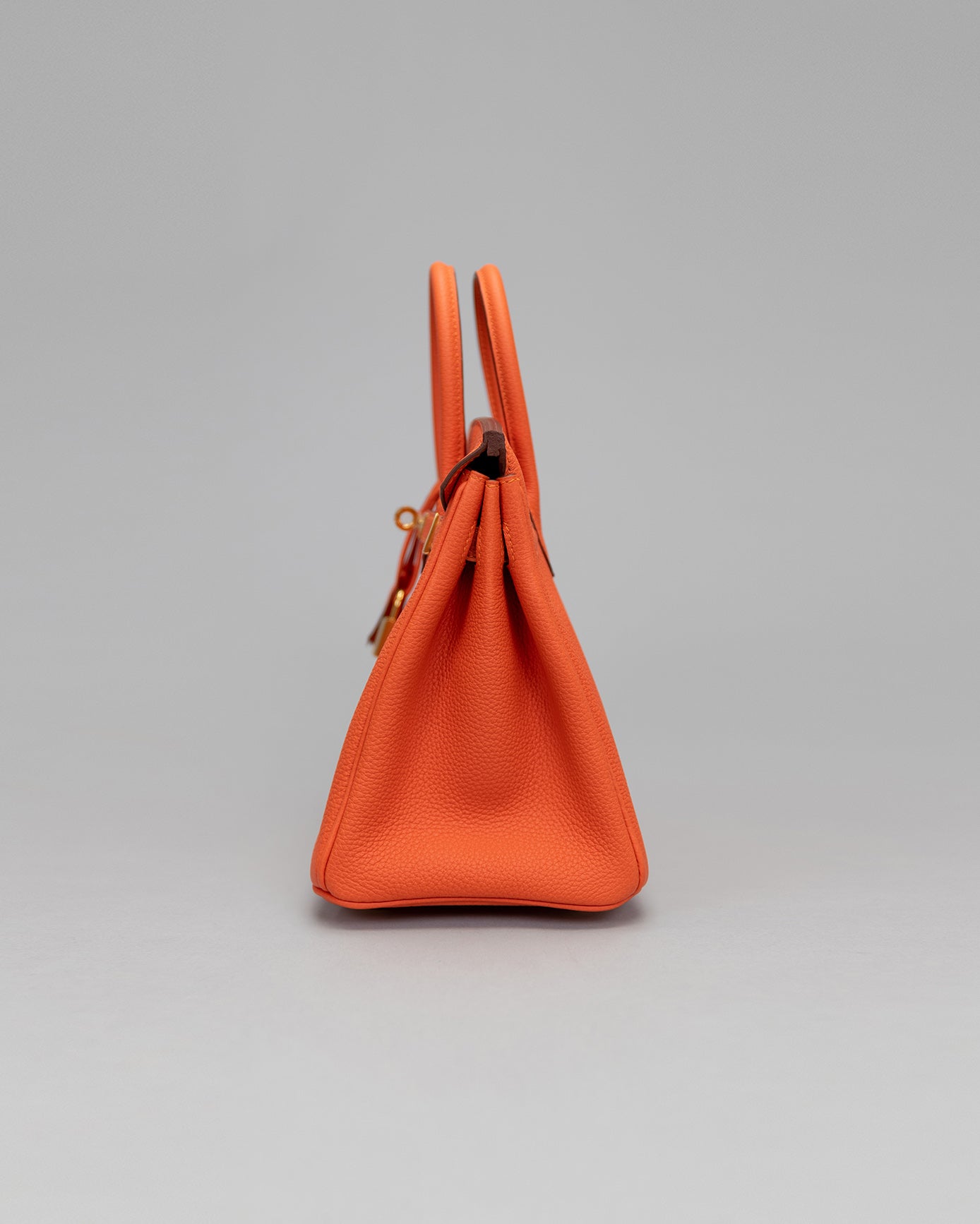 Birkin 25 Feu