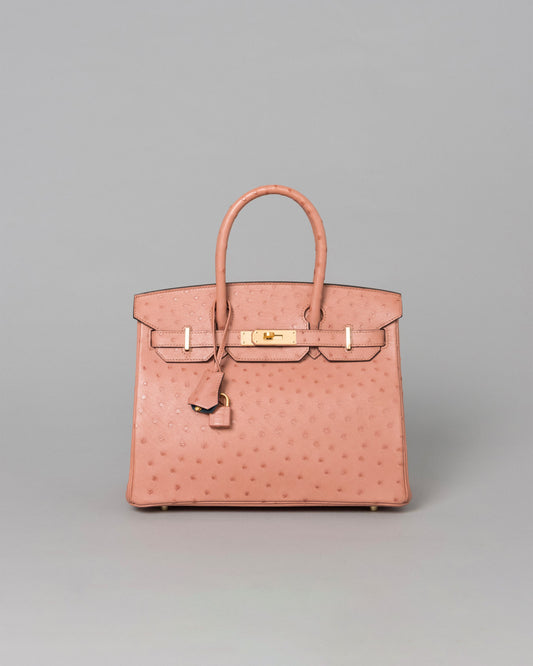 Birkin 30 Terre Cuite