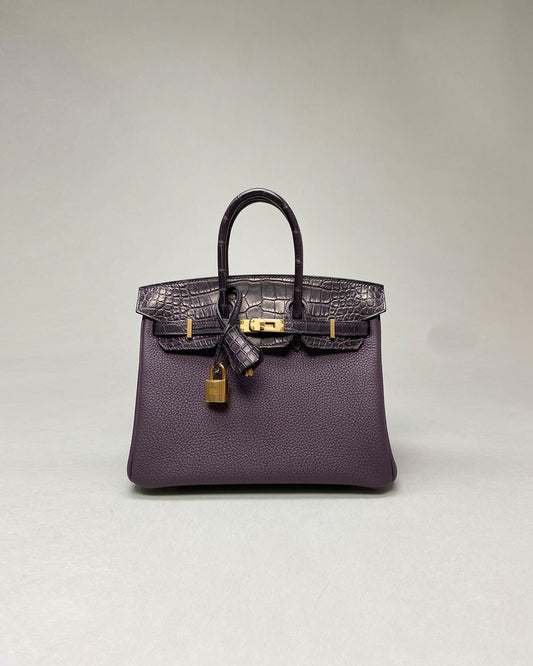 Birkin 25 Touch Raisin