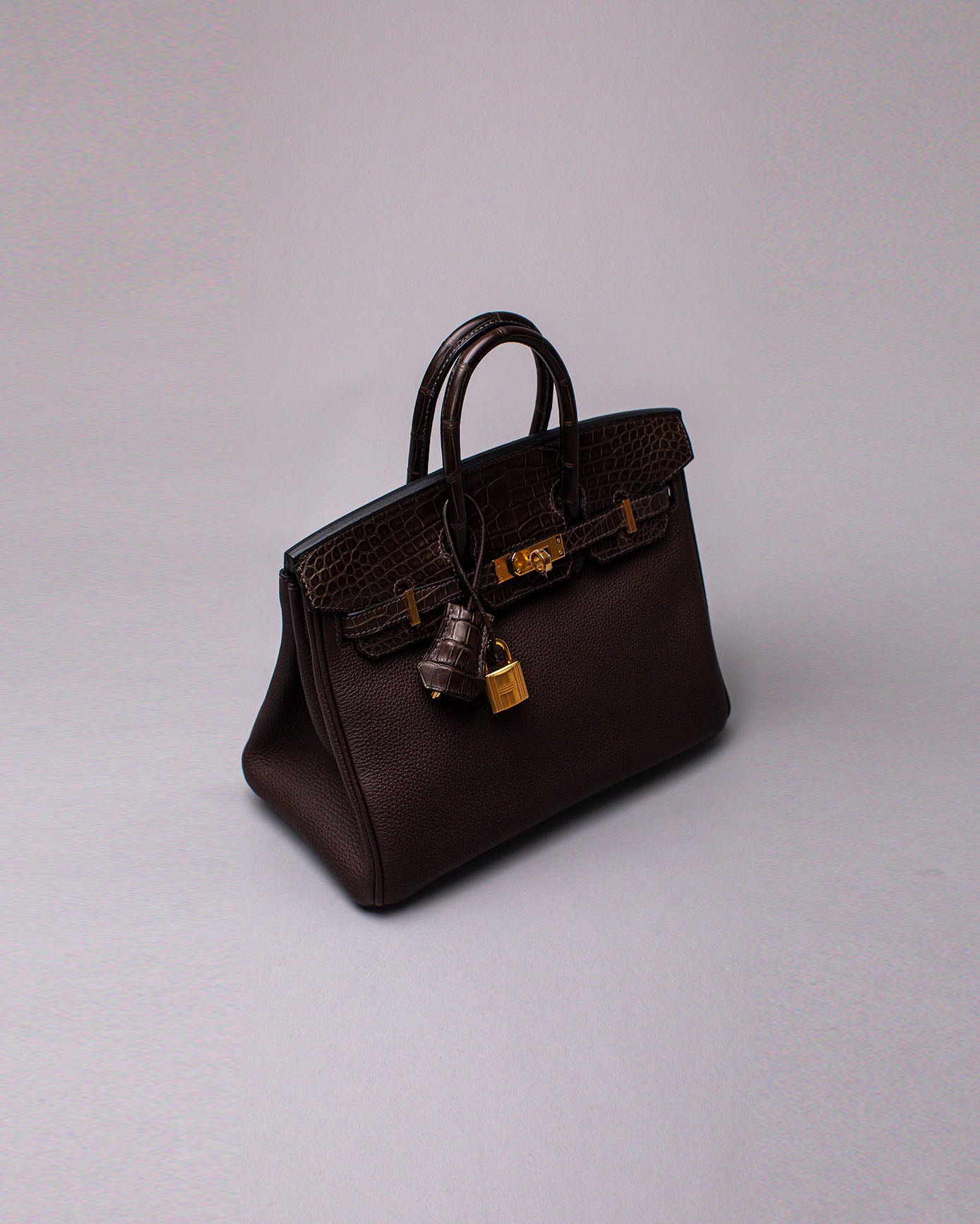 Birkin 25 Touch Ebene – HPF- A paradise for collectors